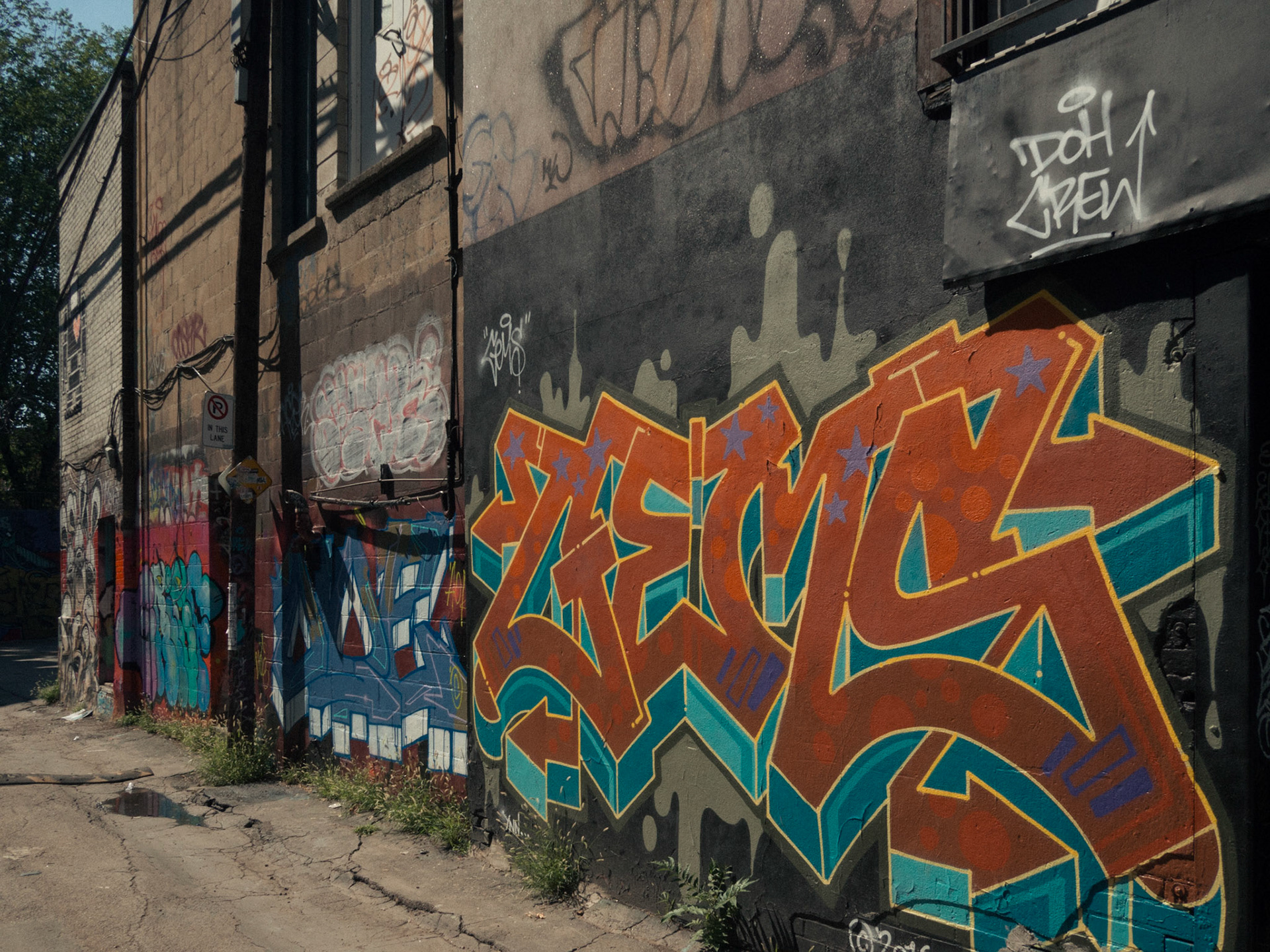 One week in Toronto