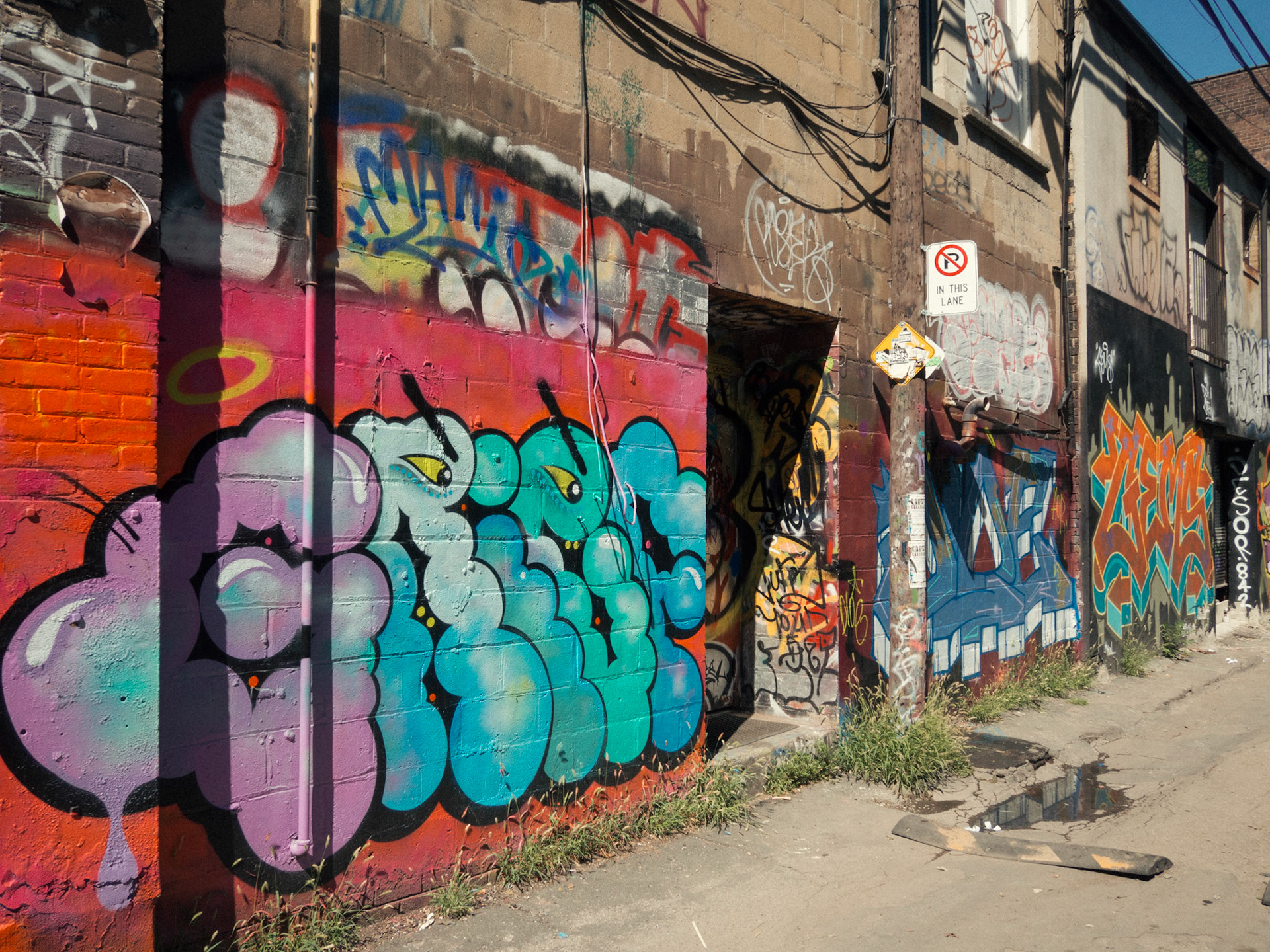 One week in Toronto