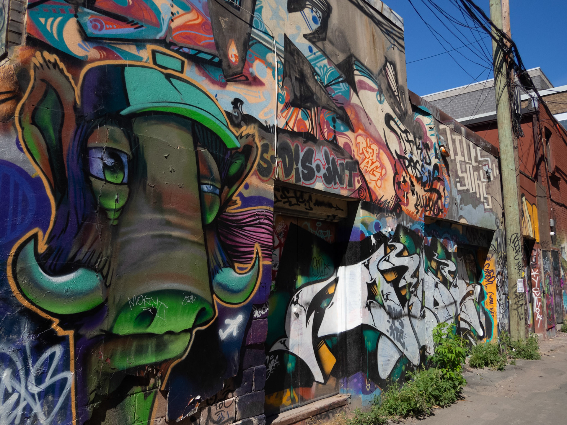 One week in Toronto