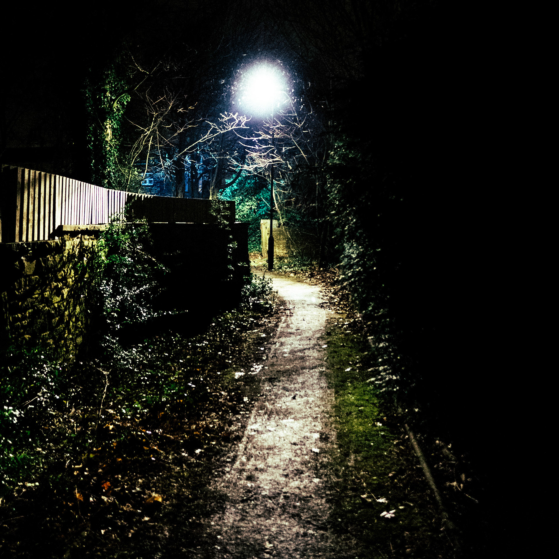 Night shots