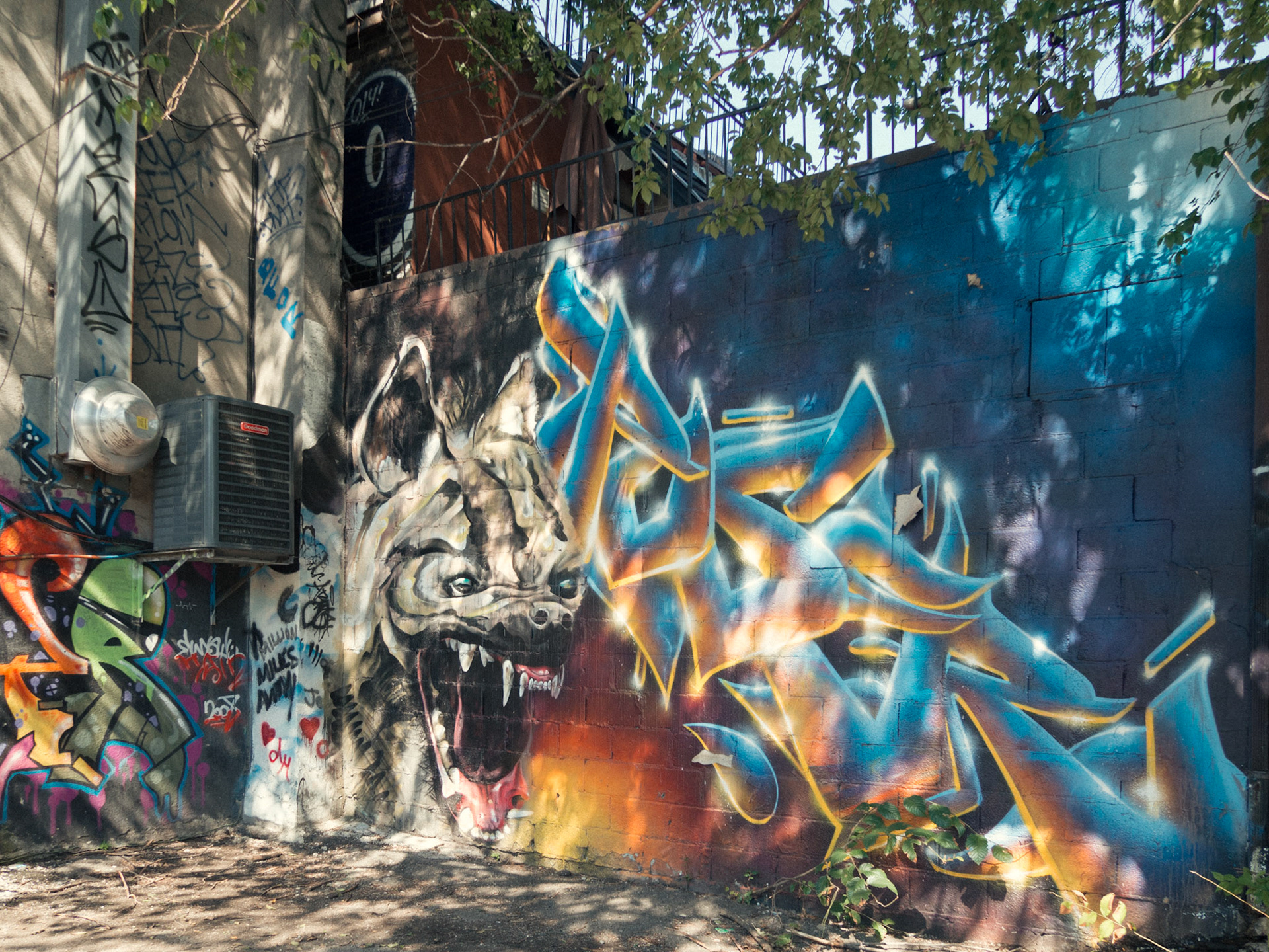 One week in Toronto