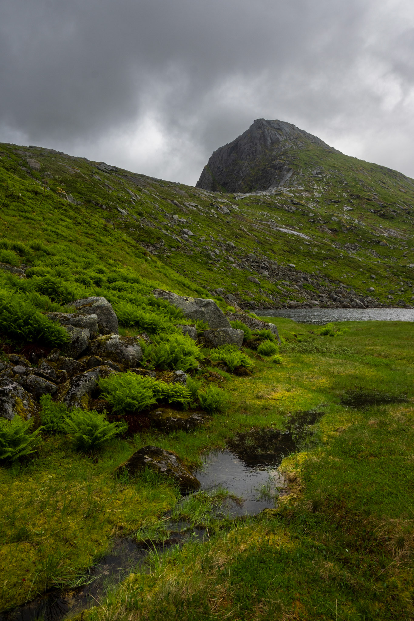 After hiking down from a lake with a small hut, we tramped through the rain and bogs for several hours. Hiking in the UK prepared us for this (more than we would have liked!)