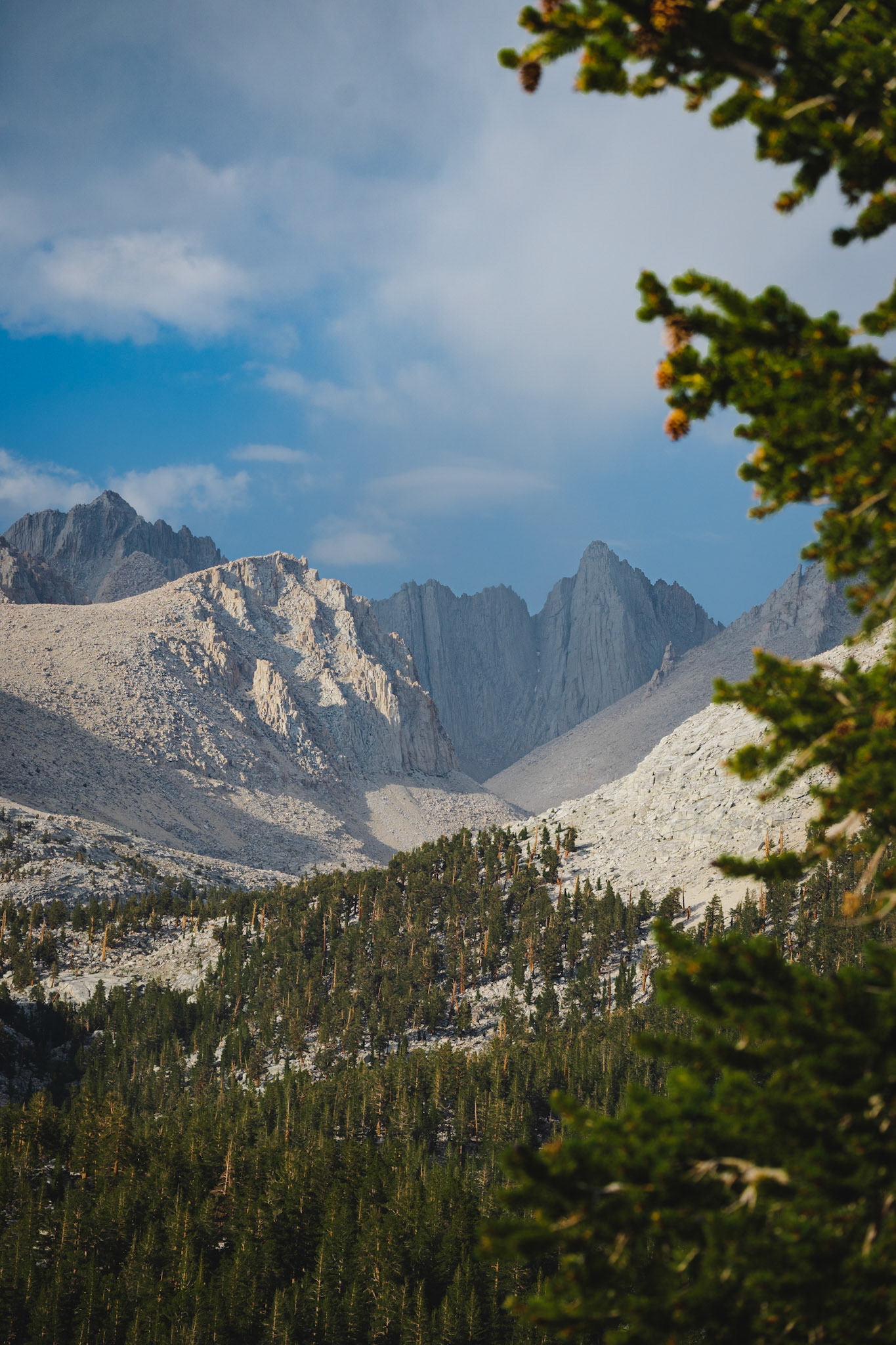 Western view of Mount Whitney - the tallest mountain in the lower 48 states.