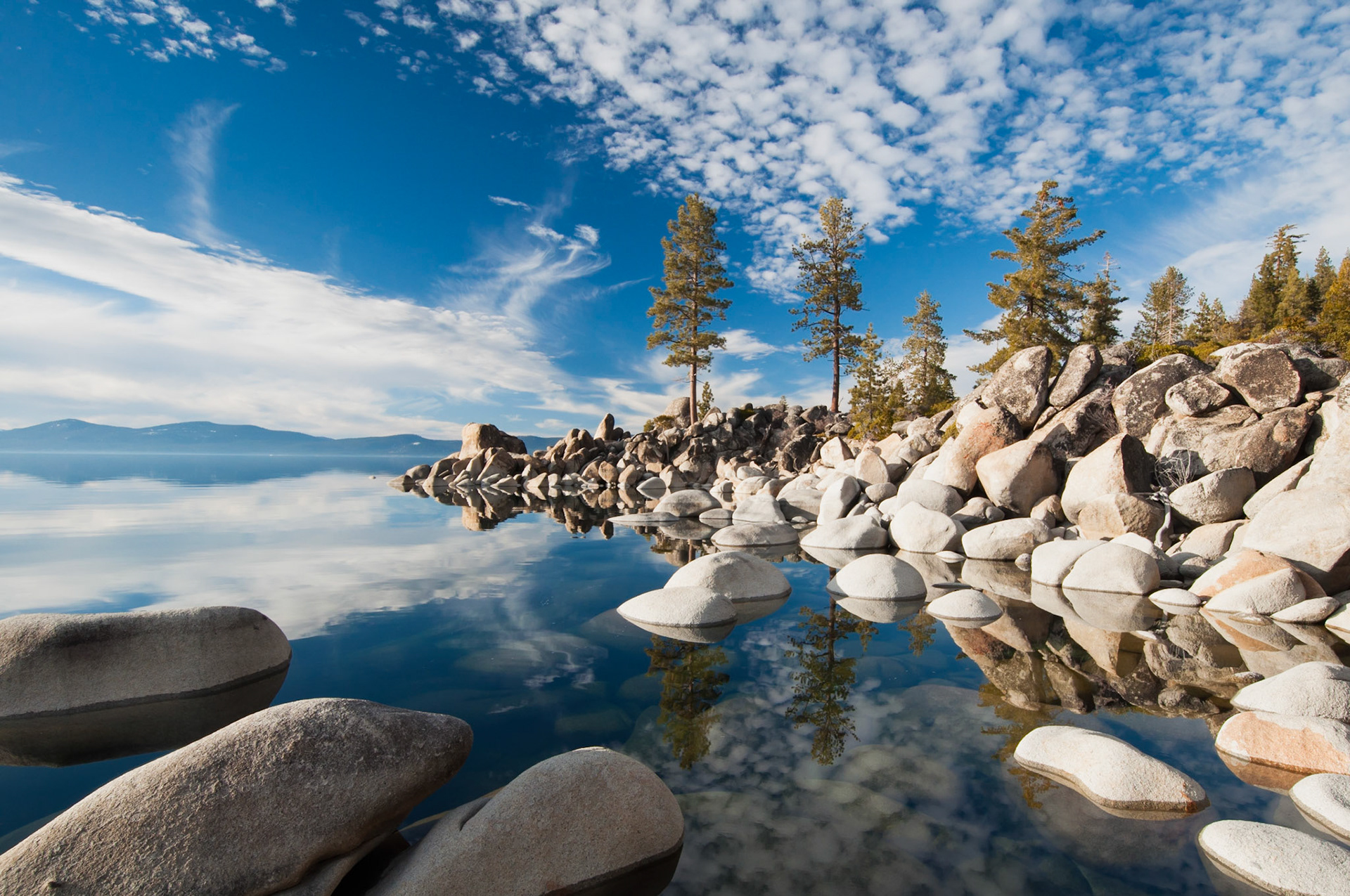 Secret Cove #1