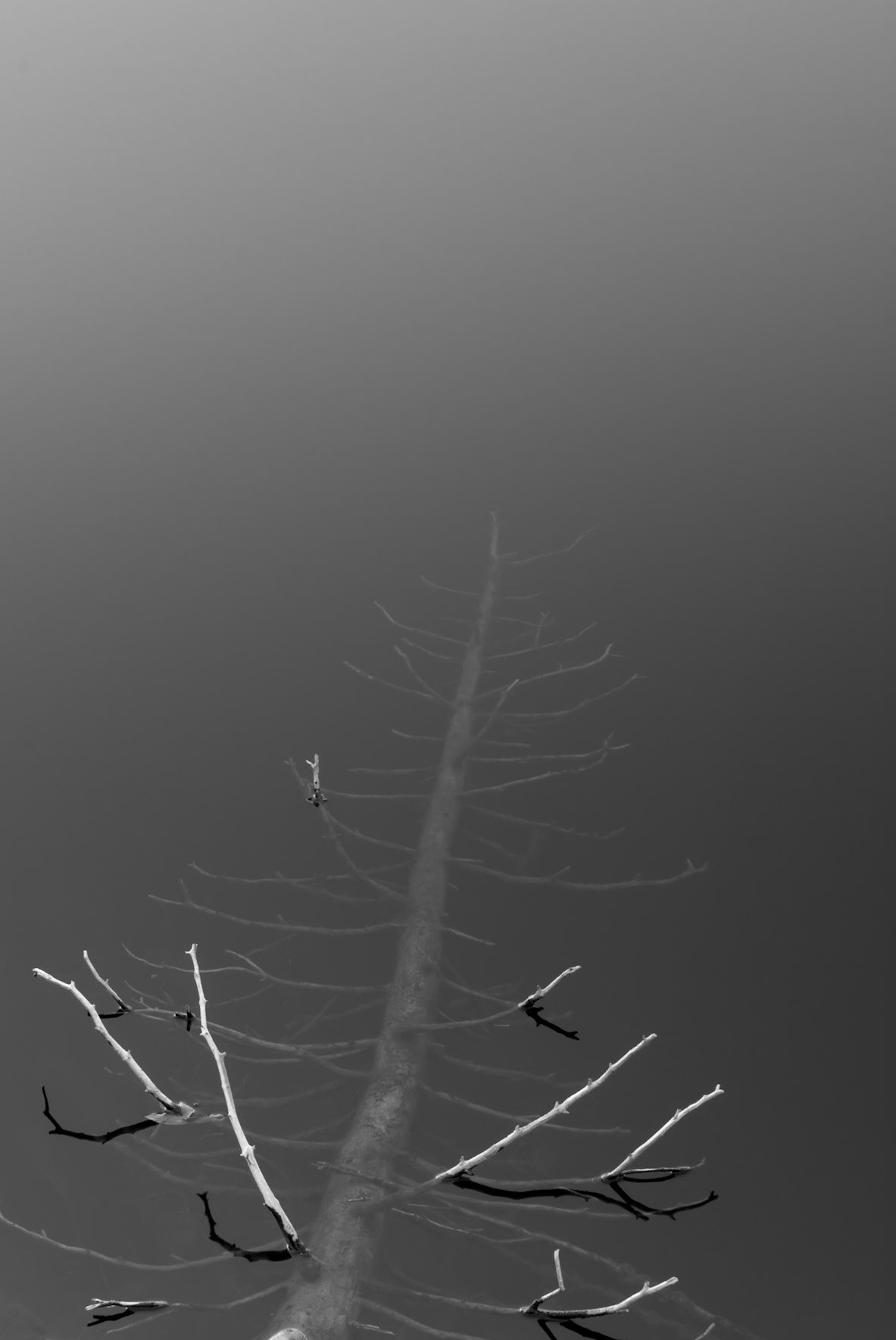 Styx for Sticks