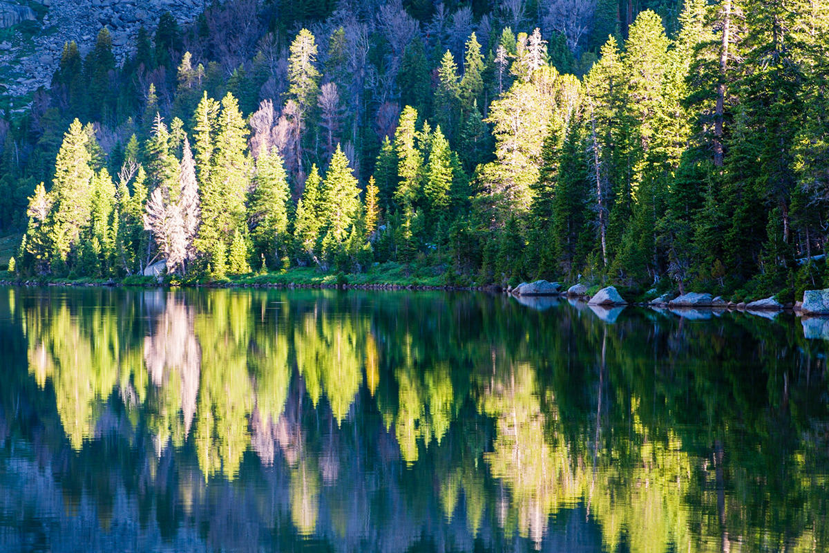 Mike Cleron - Wind River Range