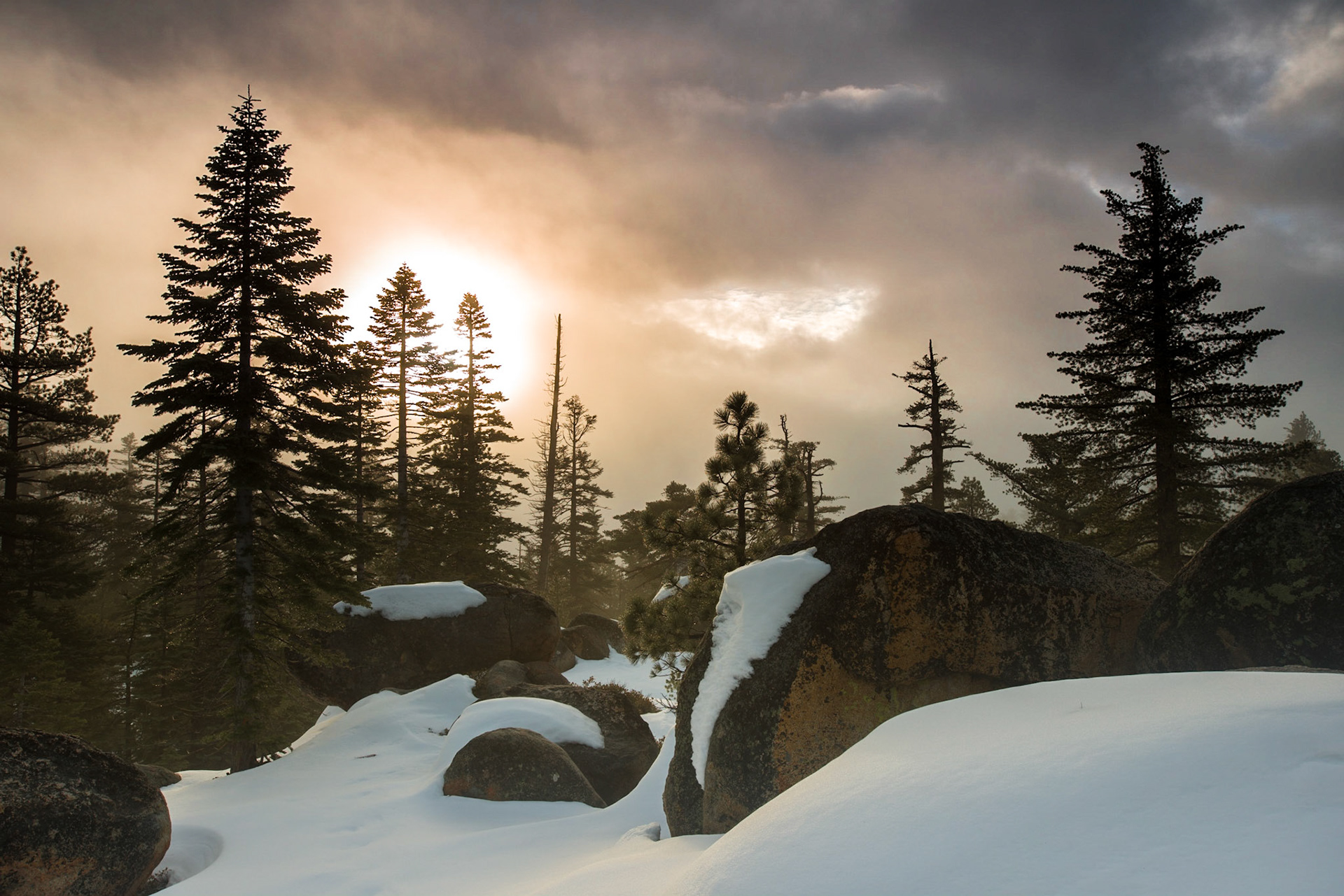 Winter Bliss