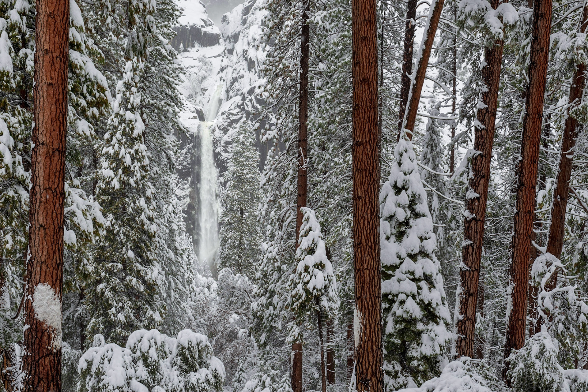Winter Gateway