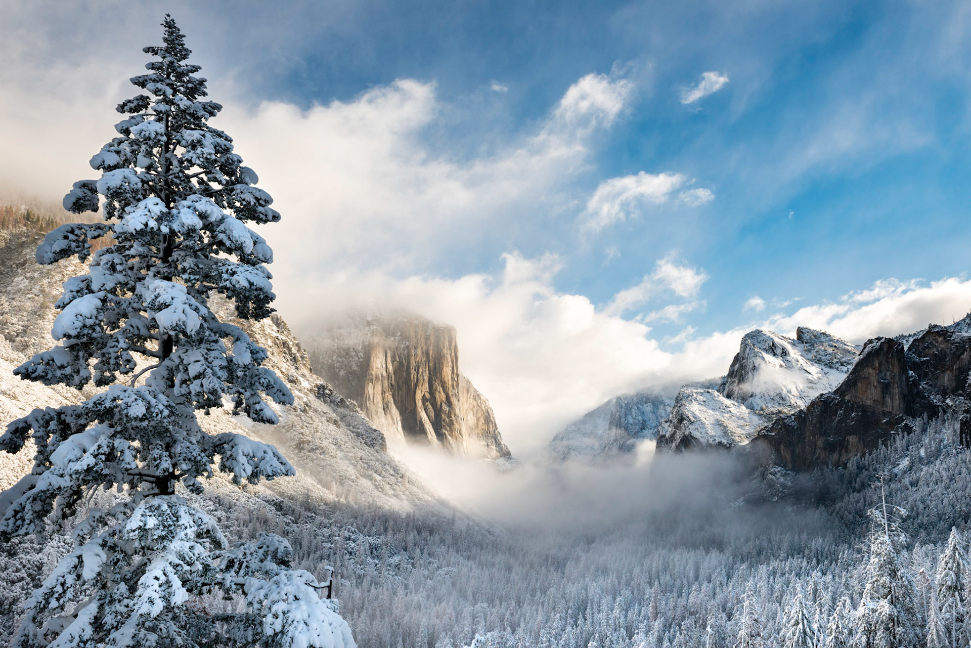 Snow in the Valley