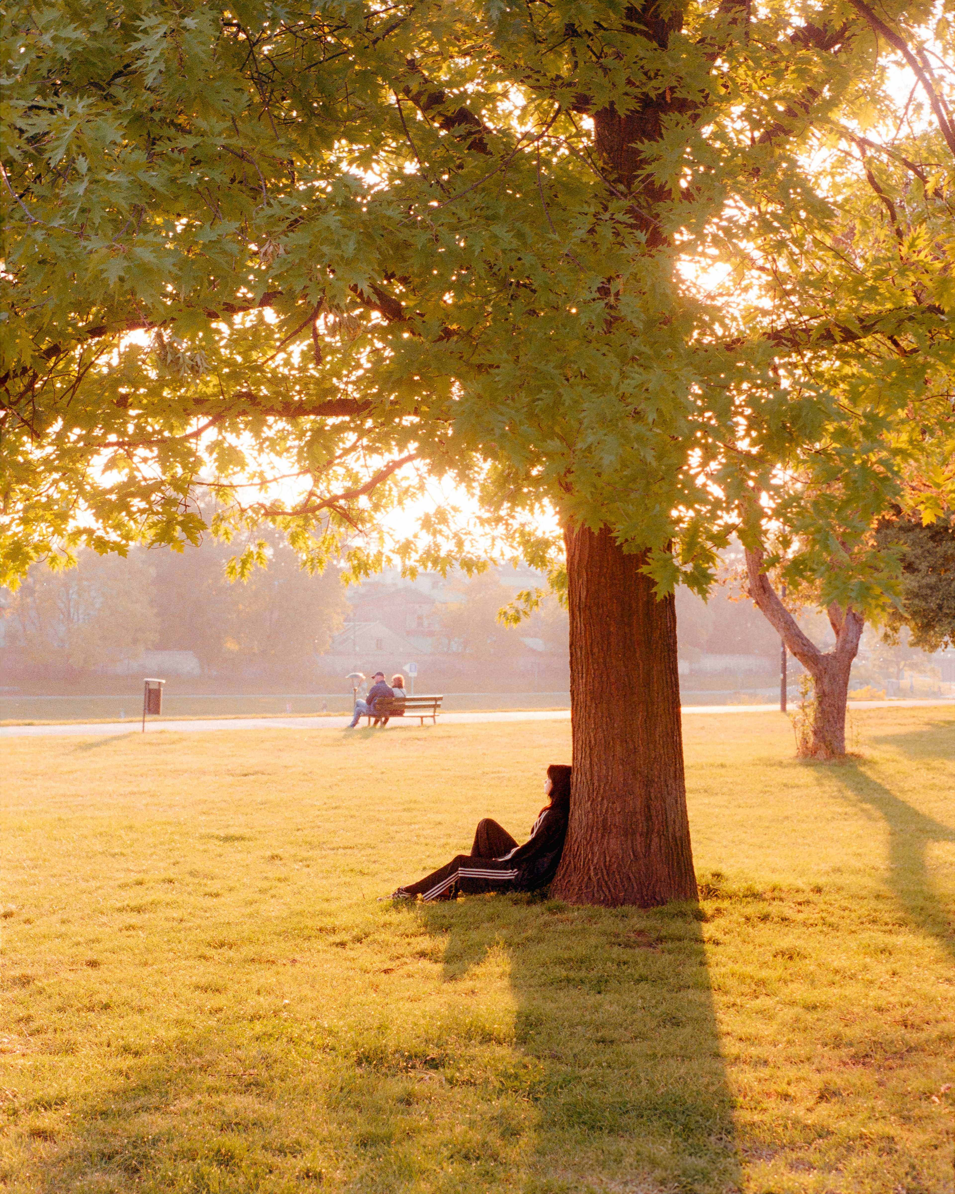 Krakow 2025 - Kodak Gold
