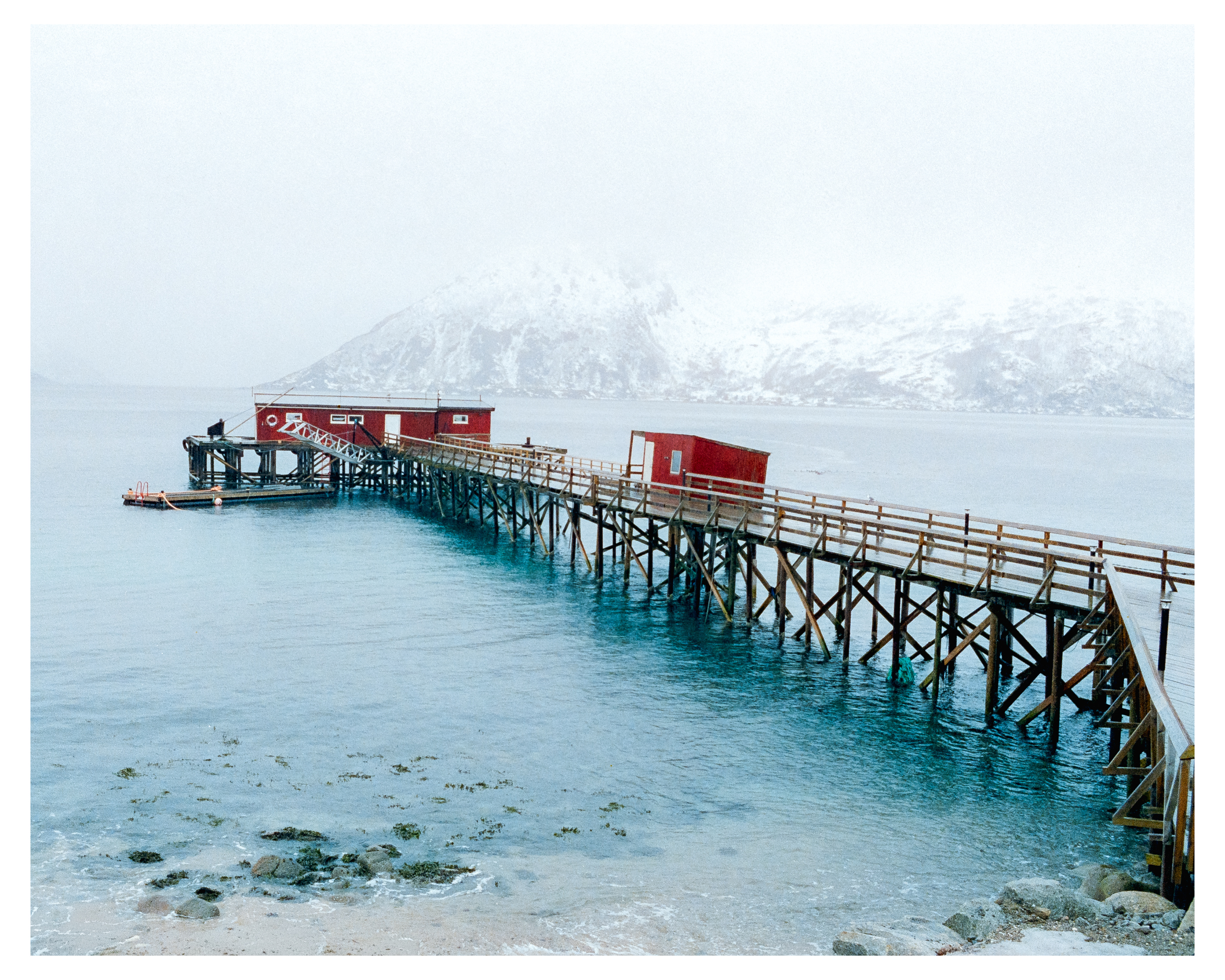 Tromso 2026 - Cinestill 800t