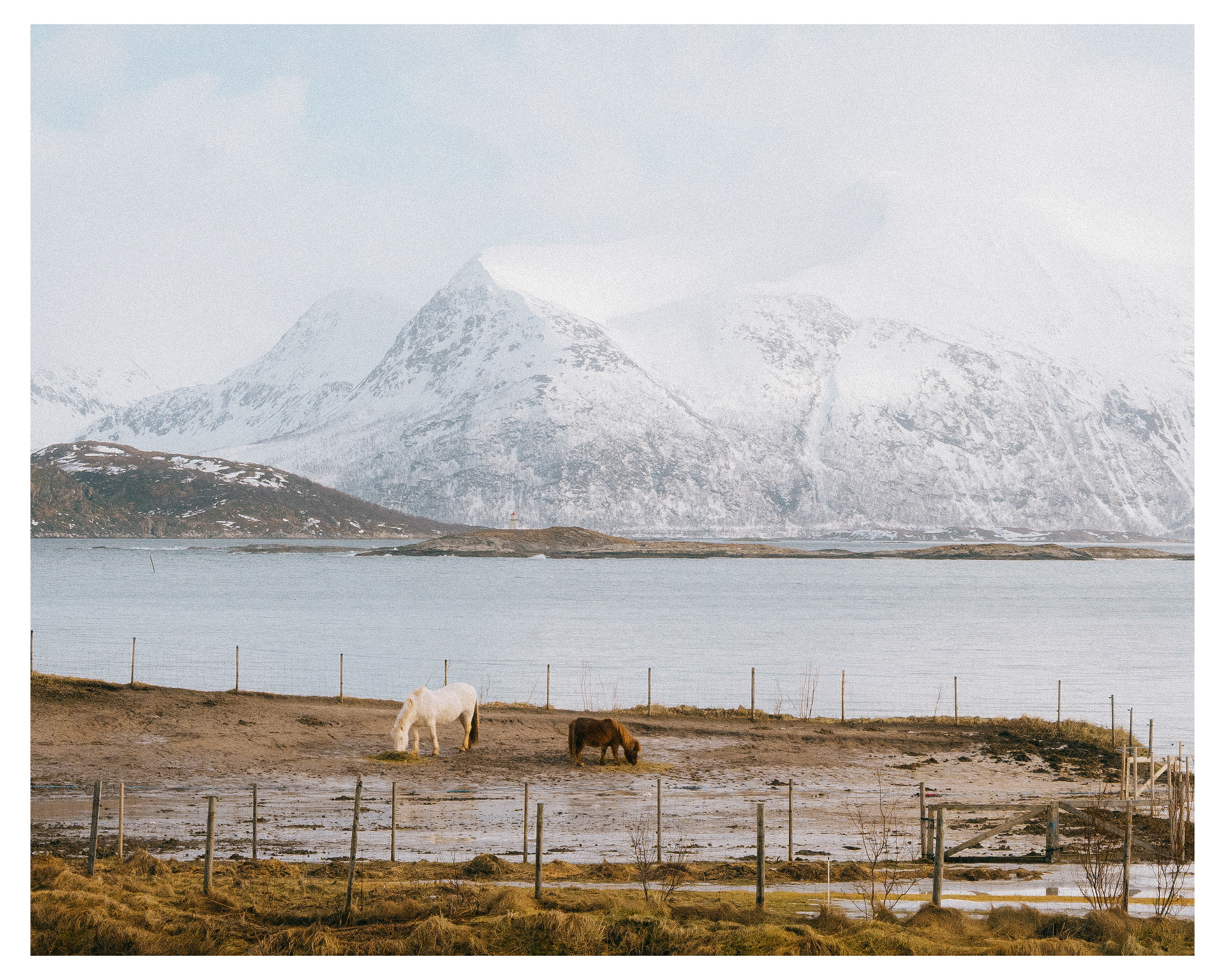 Tromso 2026 - Nikon ZFc