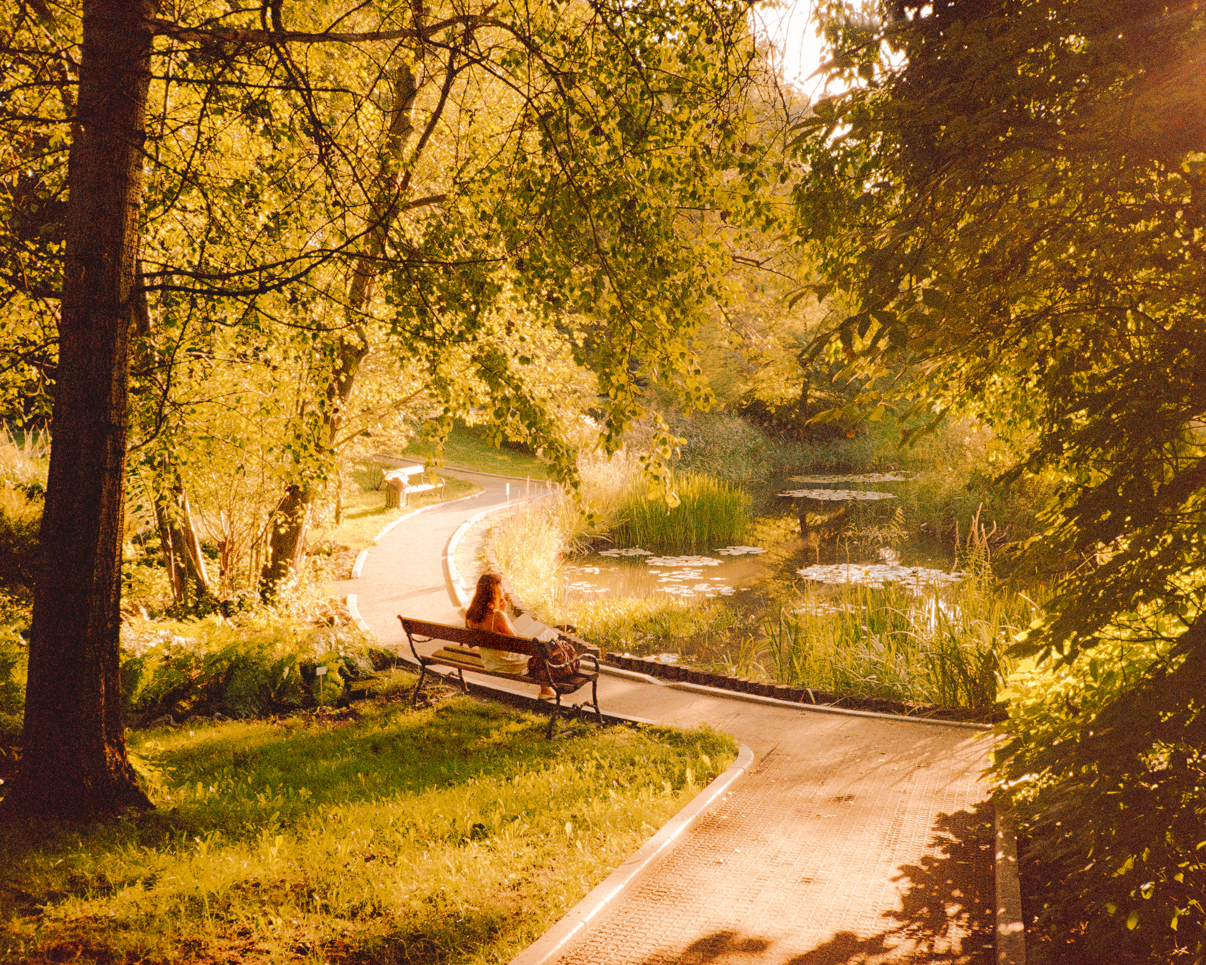 Krakow 2025 - Kodak Gold