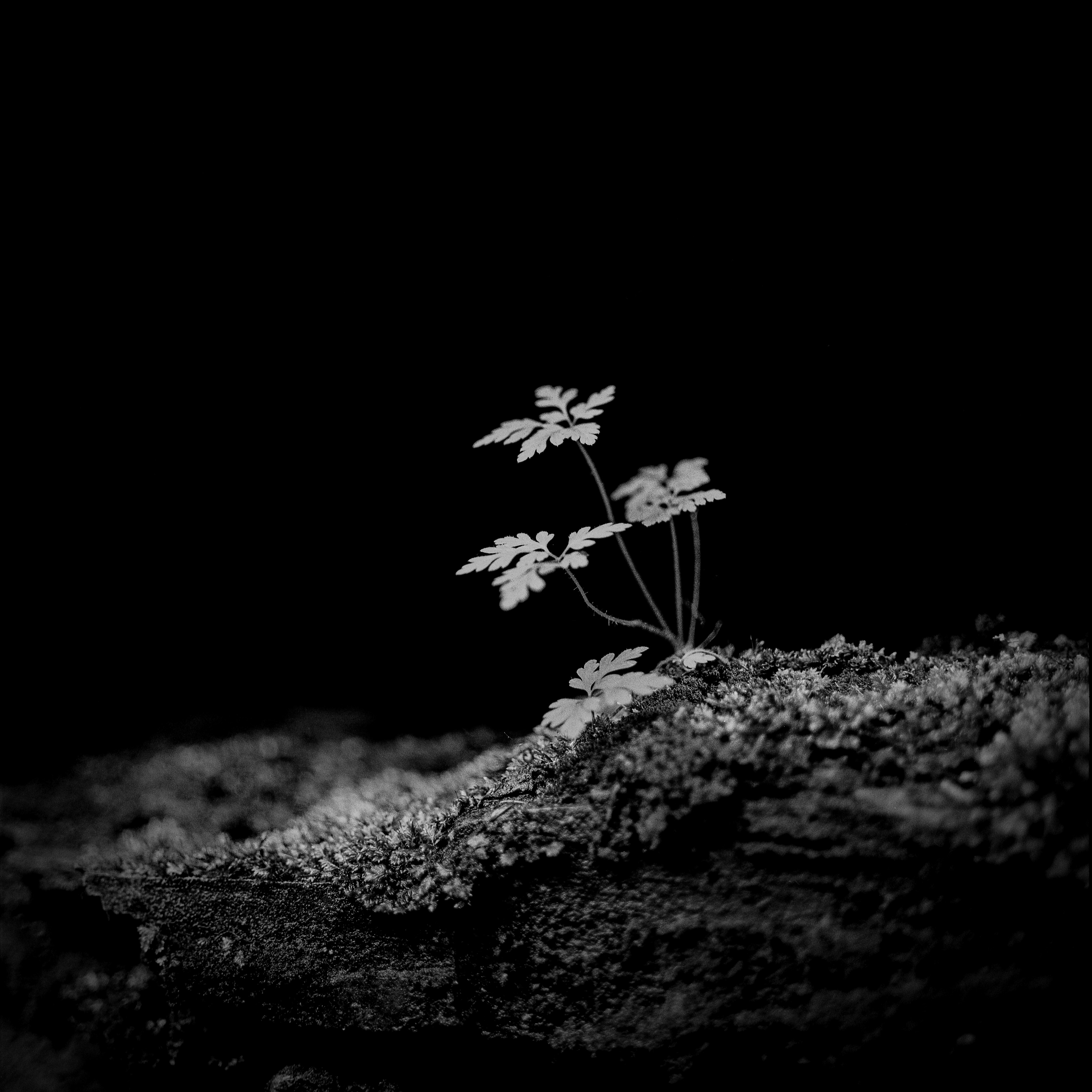 Ithaca 2018 - HP5