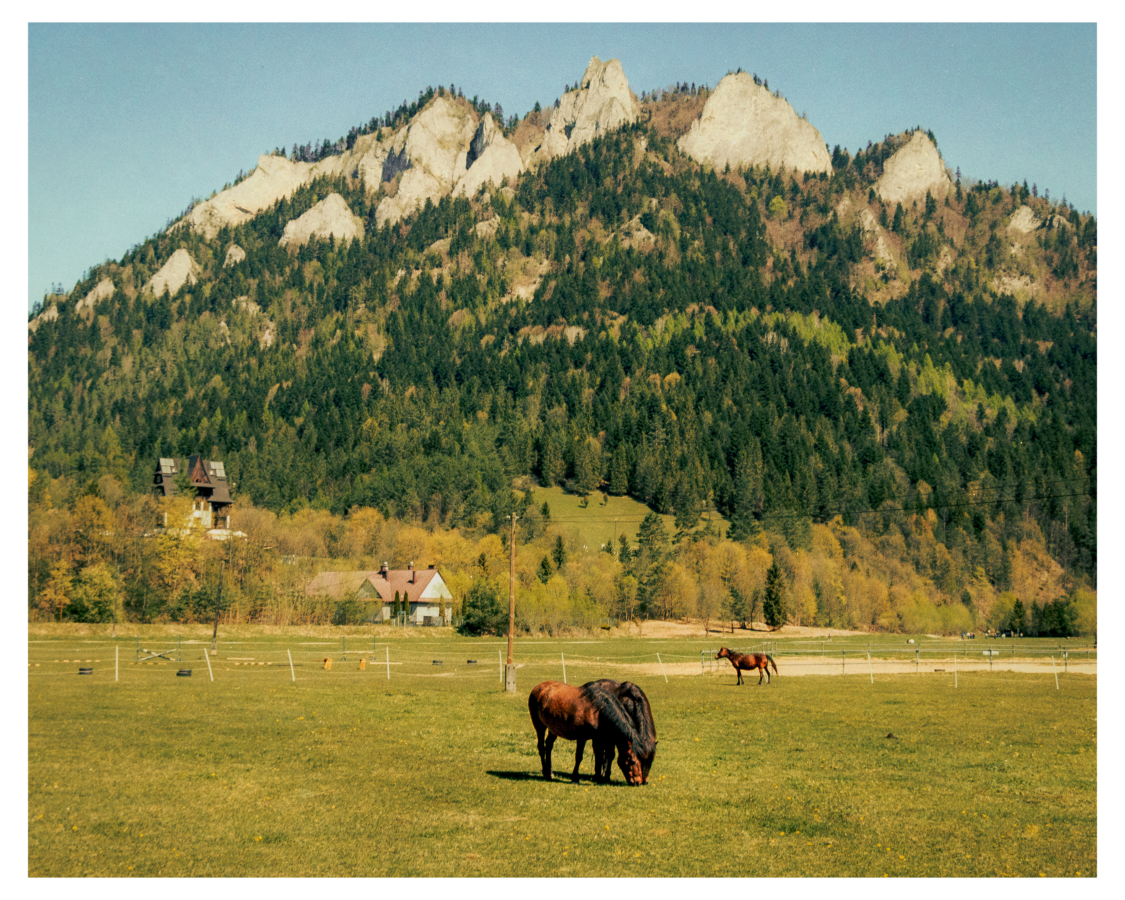 Pieniny Mountains  2026 - Kodak Gold
