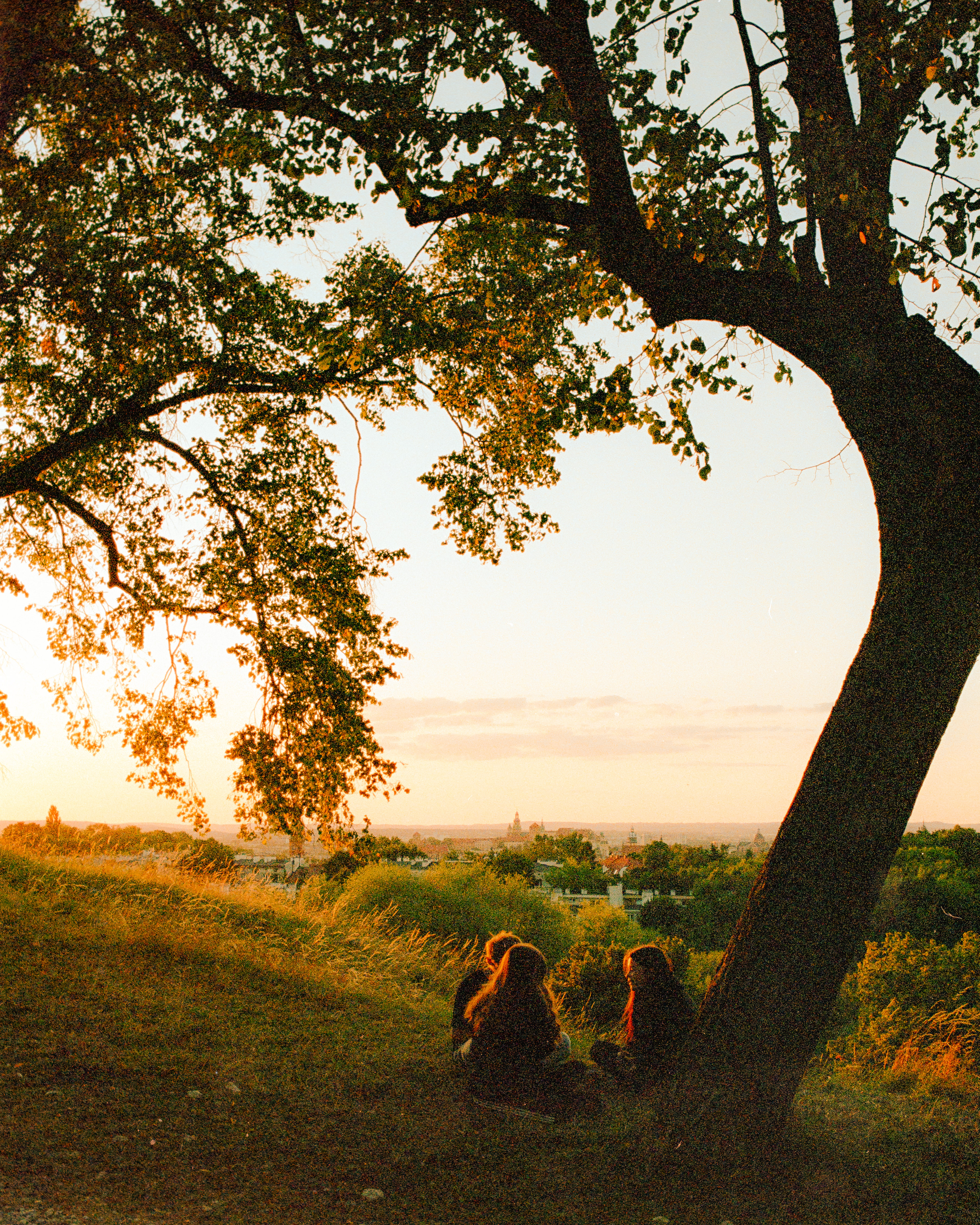 Krakow 2025 - Portra 800
