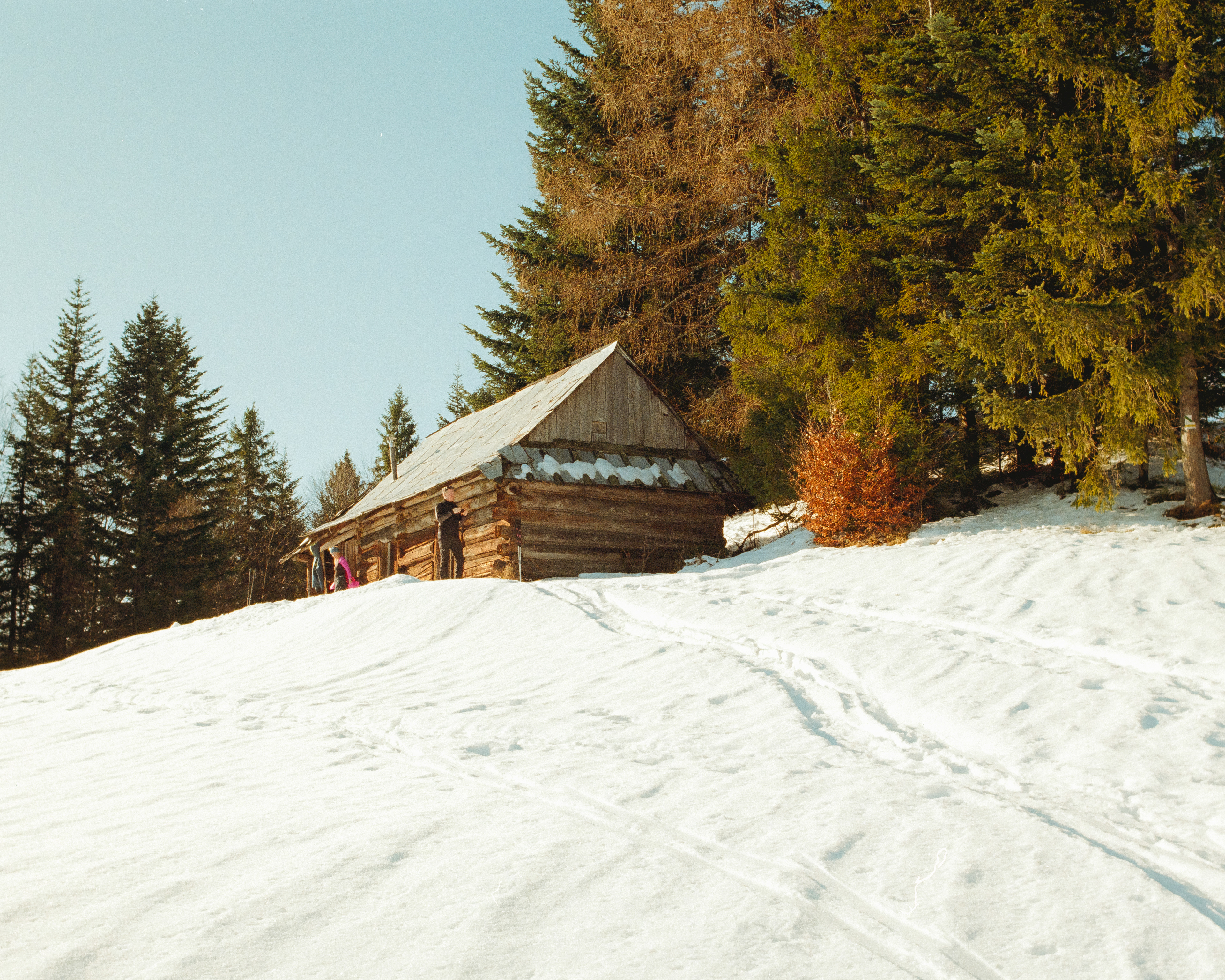 Rzeki 2026 - Kodak Gold