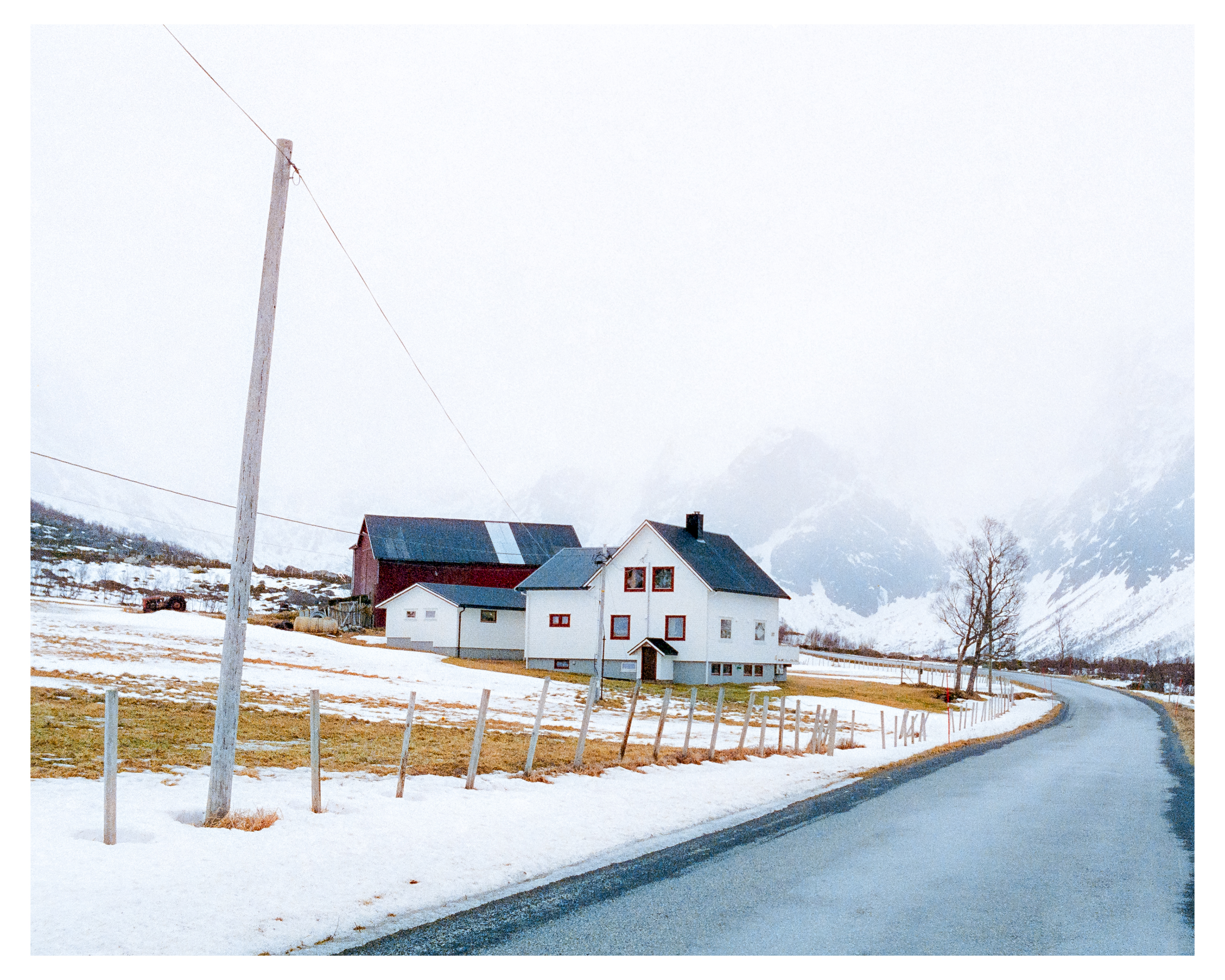 Tromso 2026 - Cinestill 800t