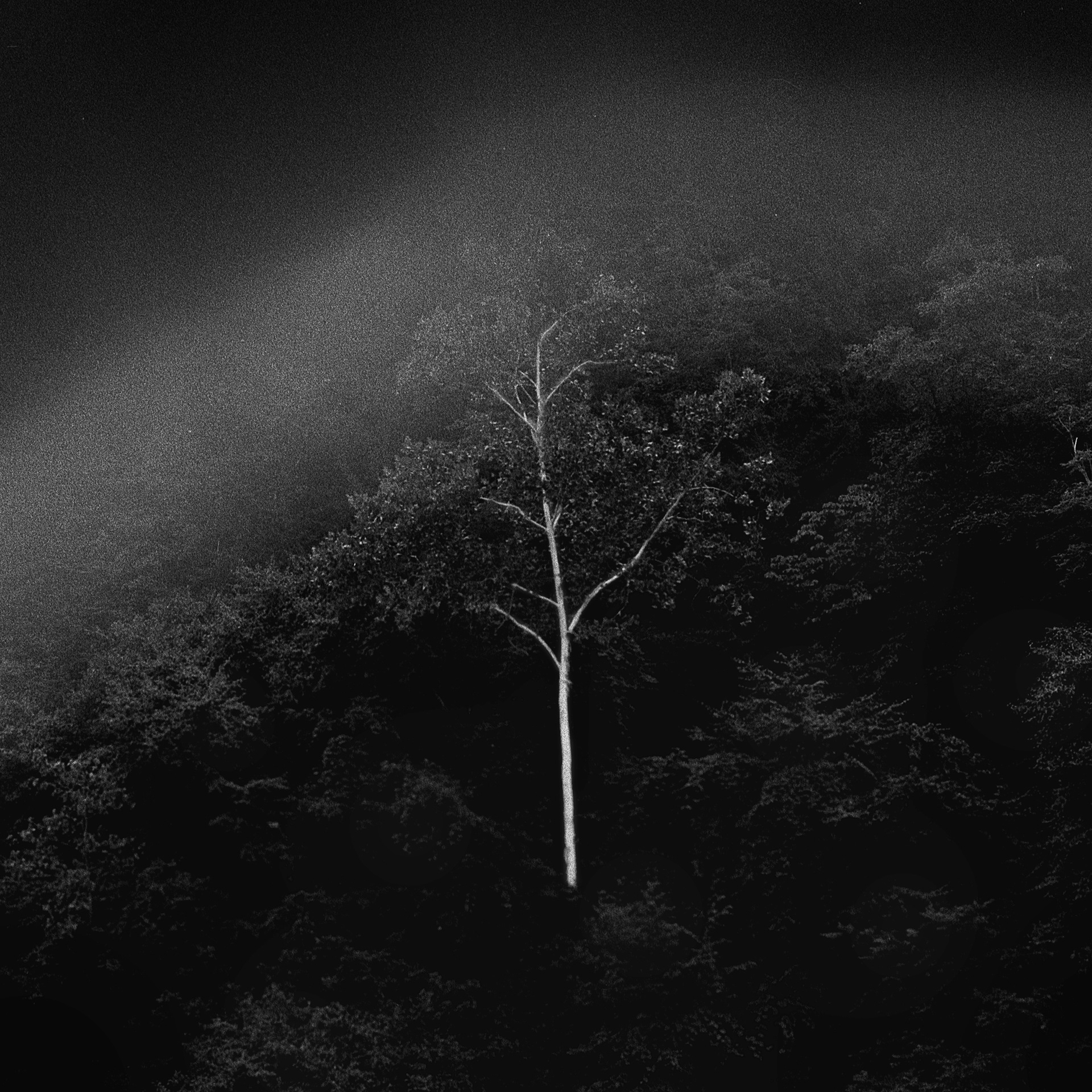 Ithaca 2018 - HP5