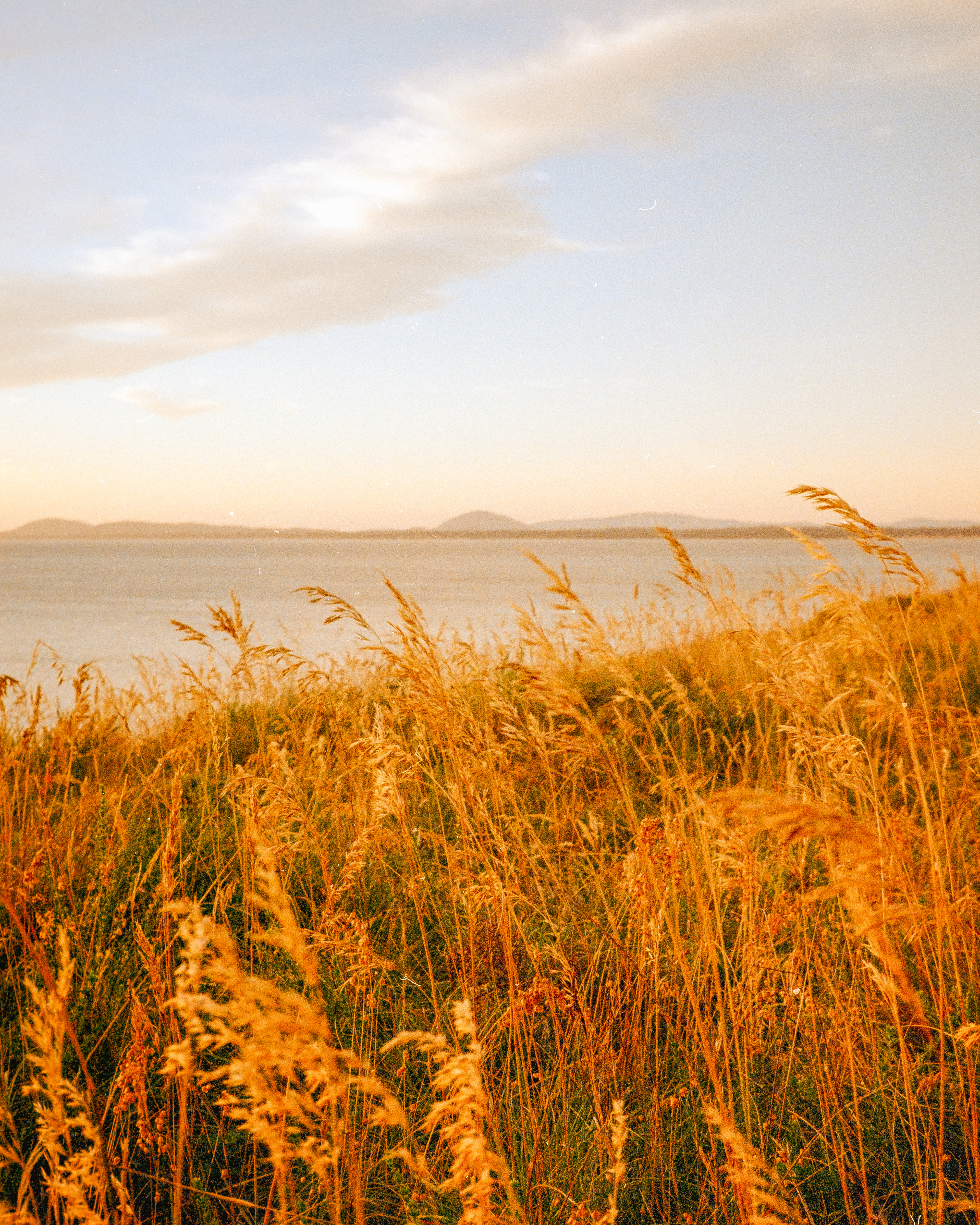 Punta del Este 2025 - Kodak Gold