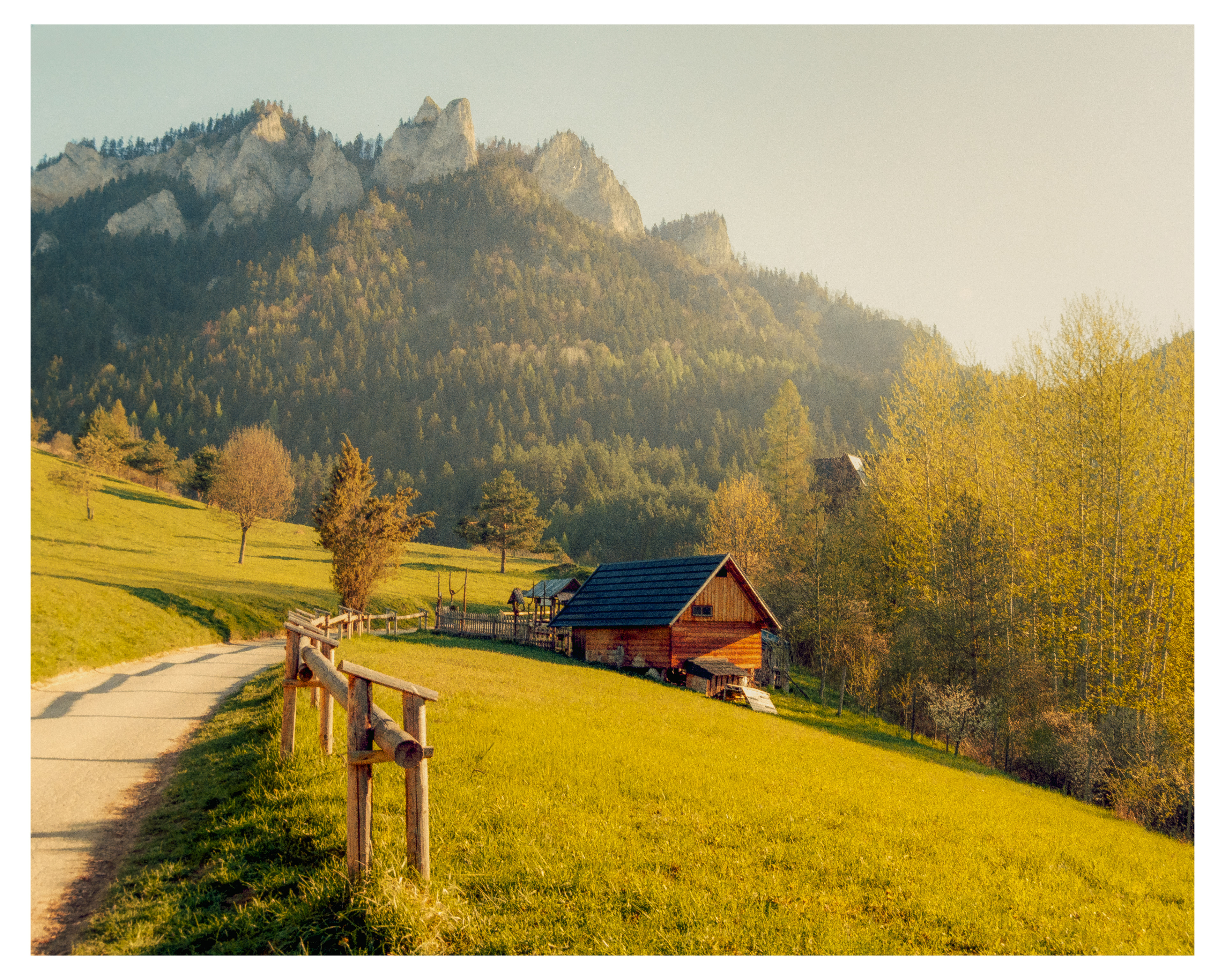 Pieniny Mountains  2026 - Kodak Gold