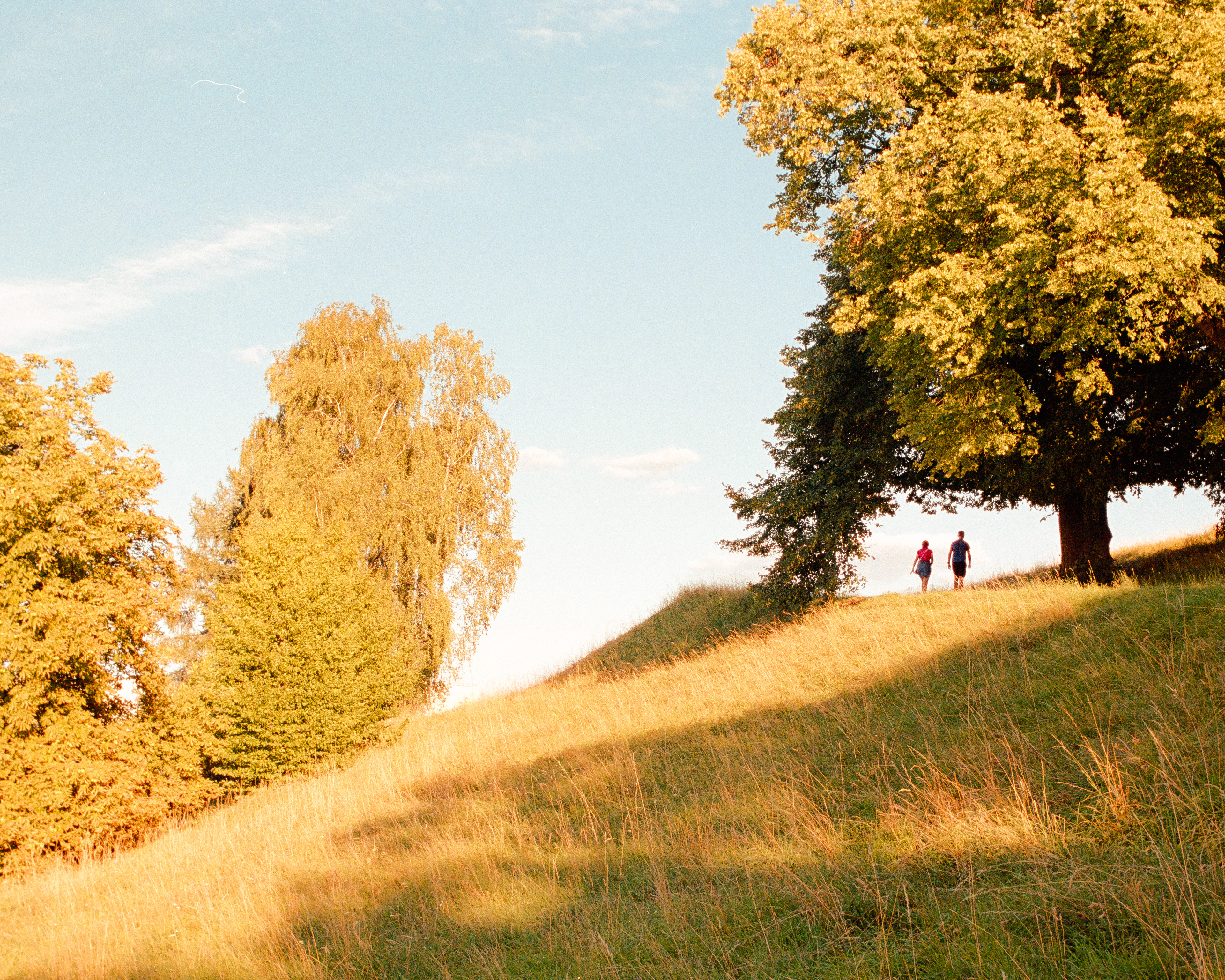 Krakow 2025 - Portra 800