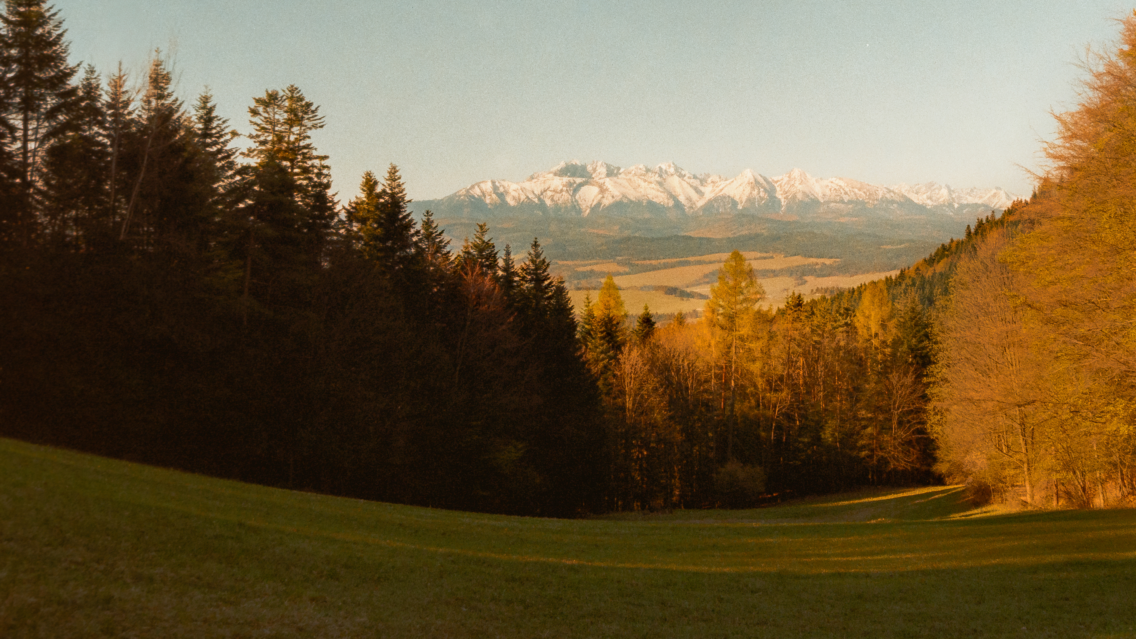 Pieniny Mountains  2026 - Kodak Gold