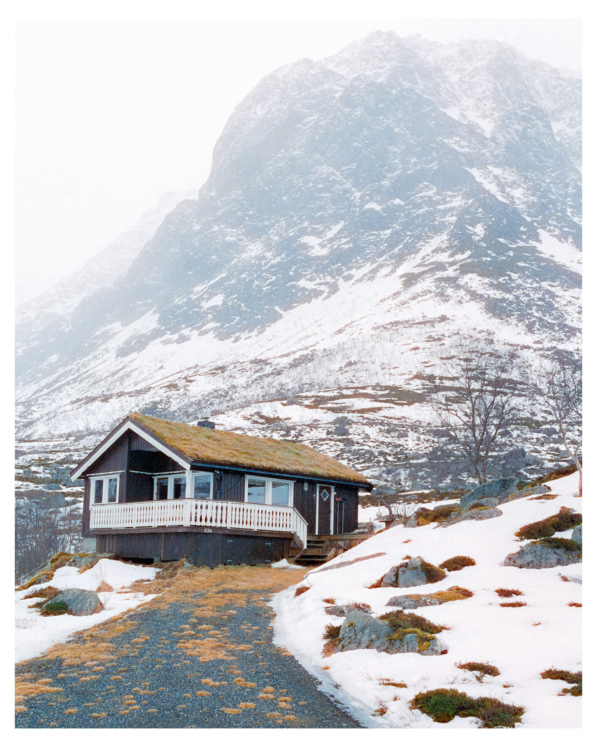 Tromso 2026 - Cinestill 800t