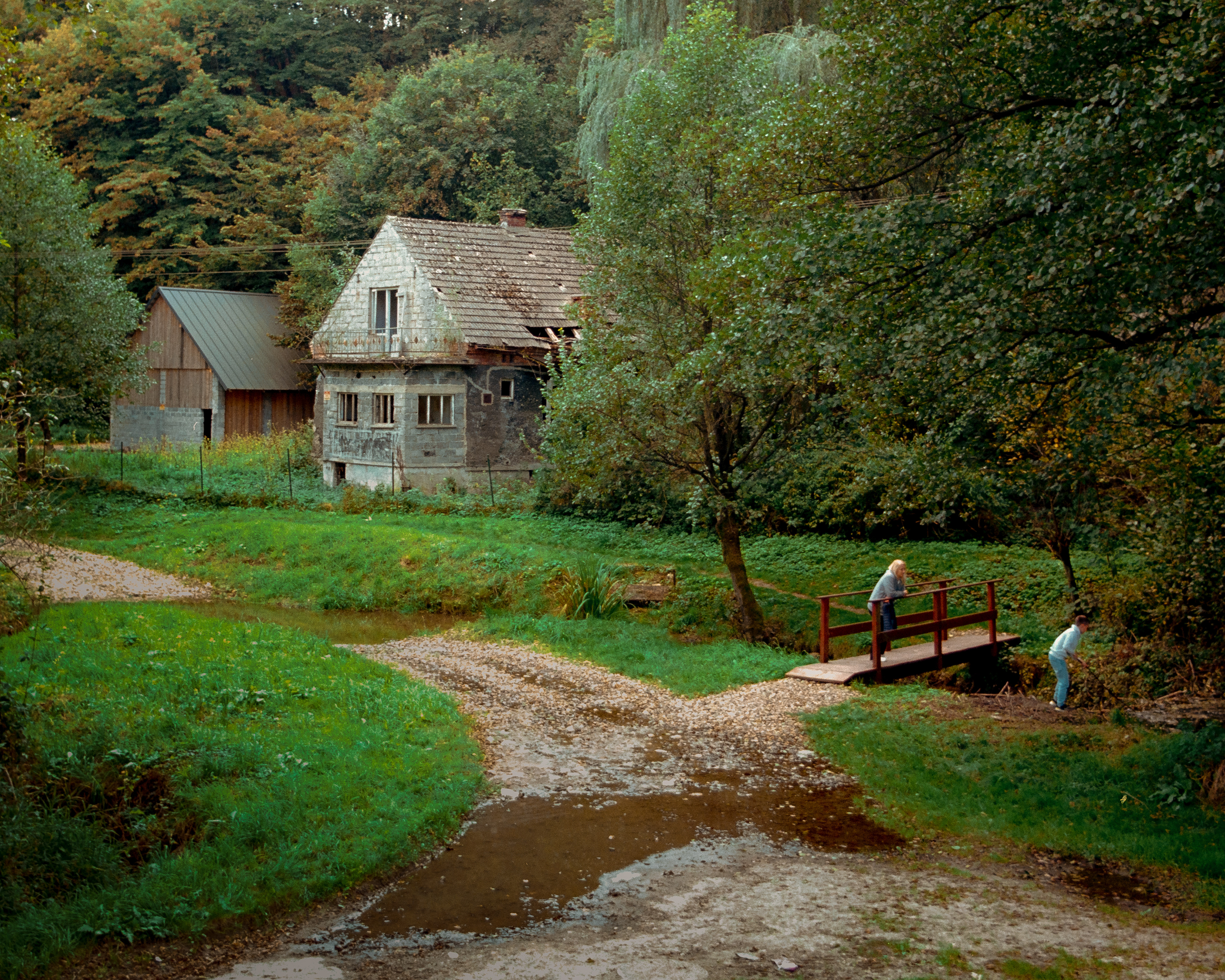 Mnikowska Valley 2025 - Ektar 100