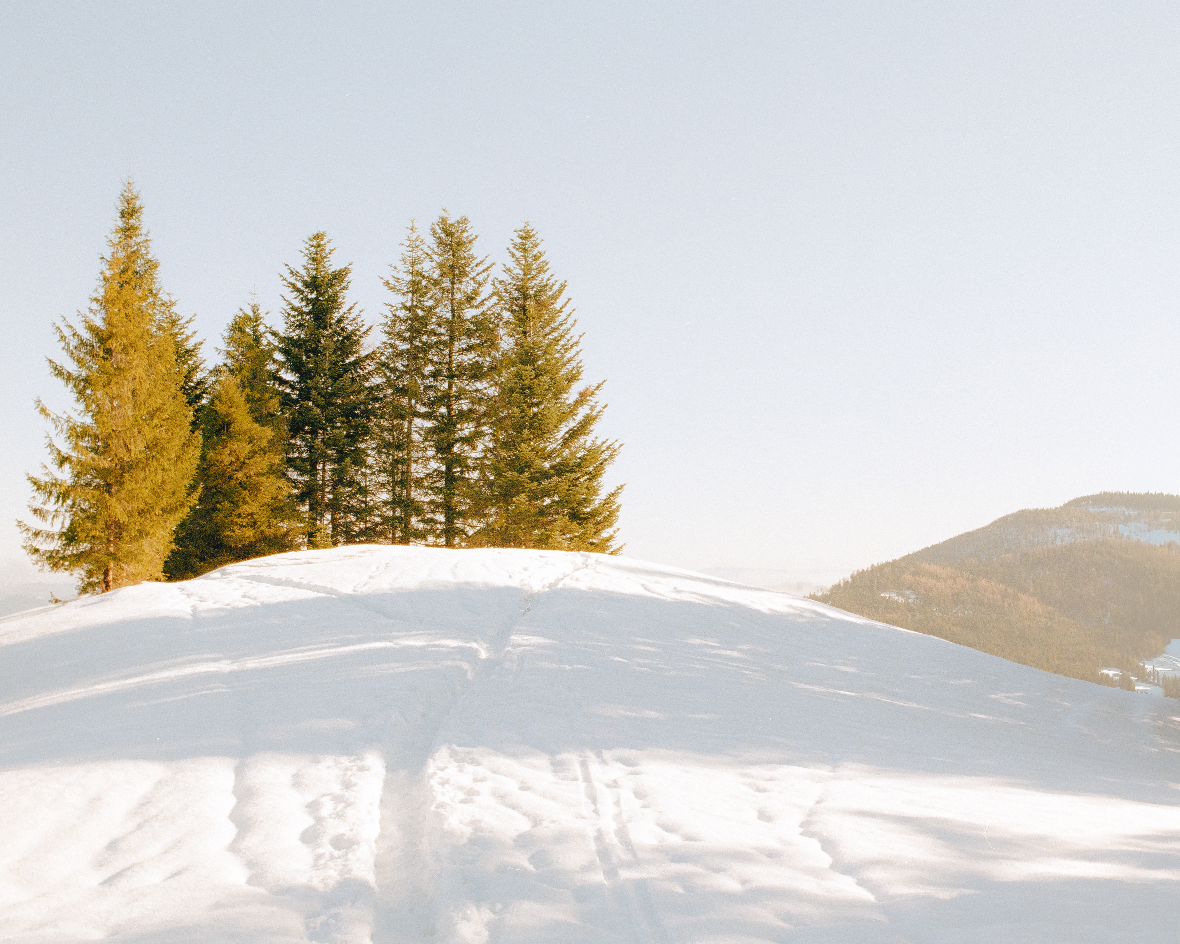 Rzeki 2026 - Kodak Gold