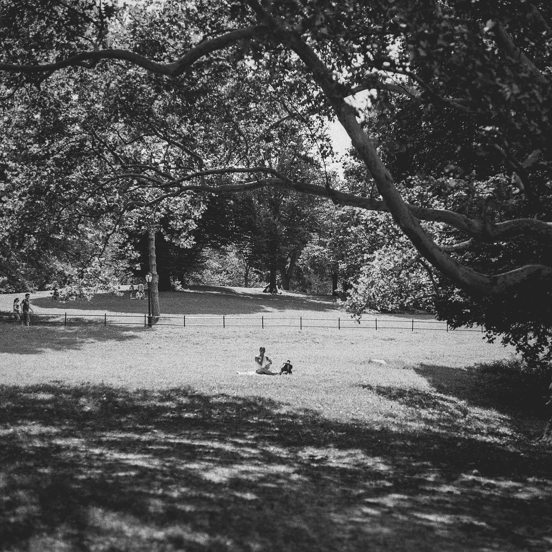 New York 2018 - HP5