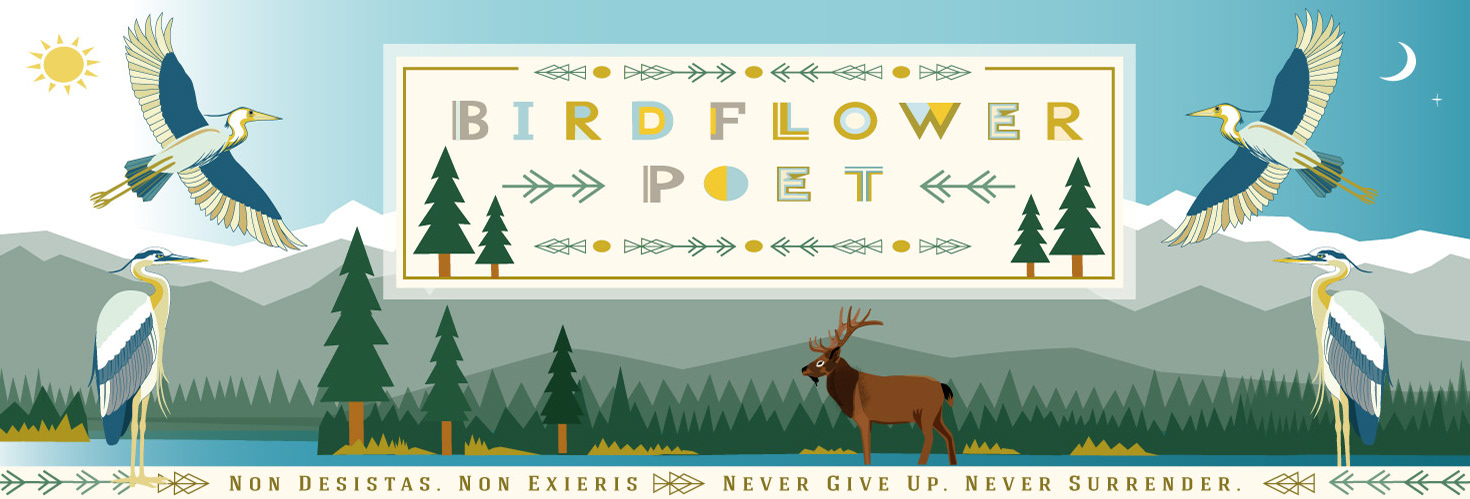 Birdflower Poet