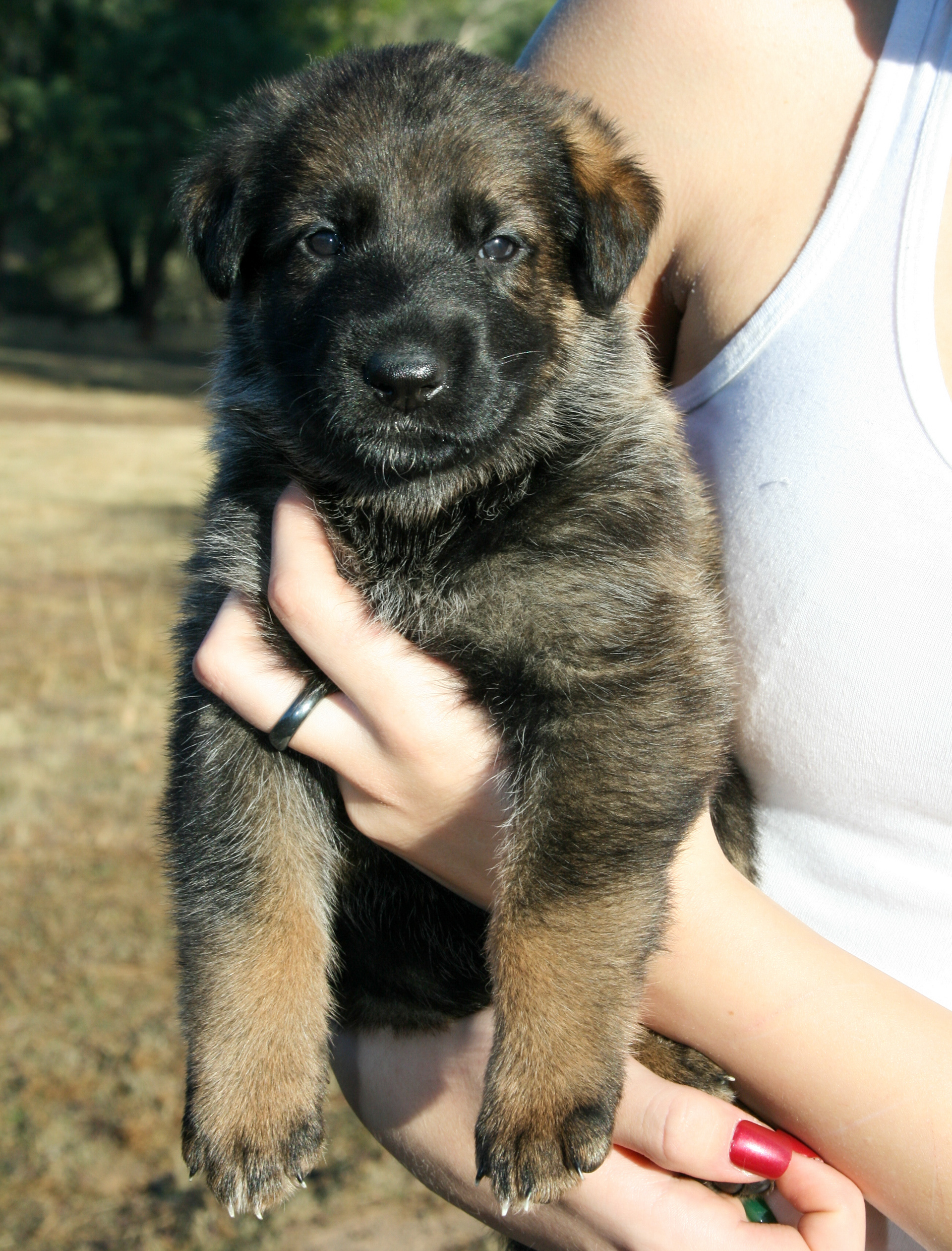 "Winnie" - 4 weeks