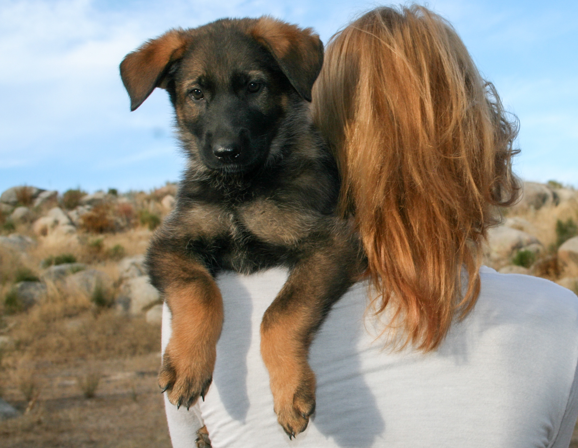 Winnie - 7 weeks