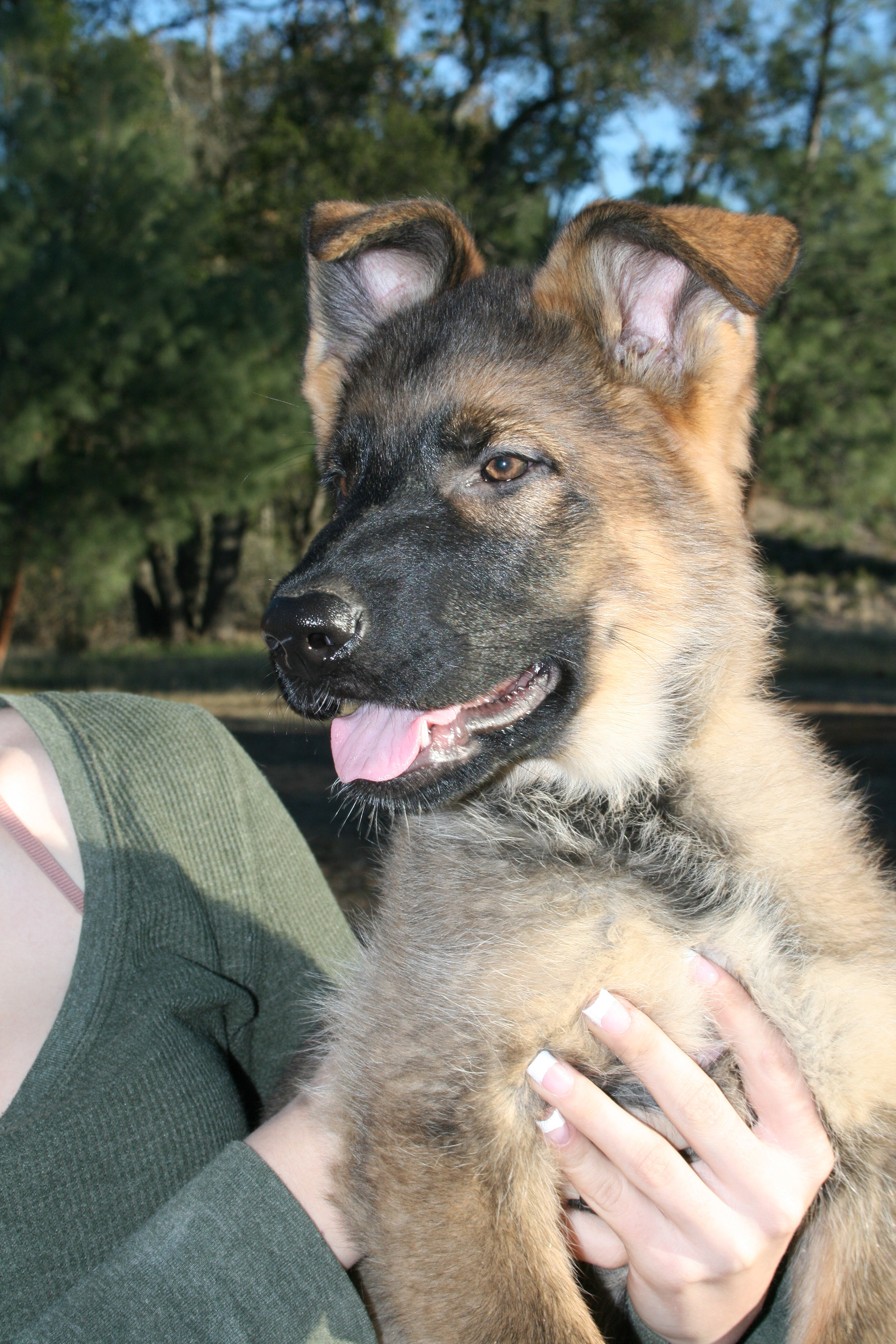 "Journey" - 12 weeks