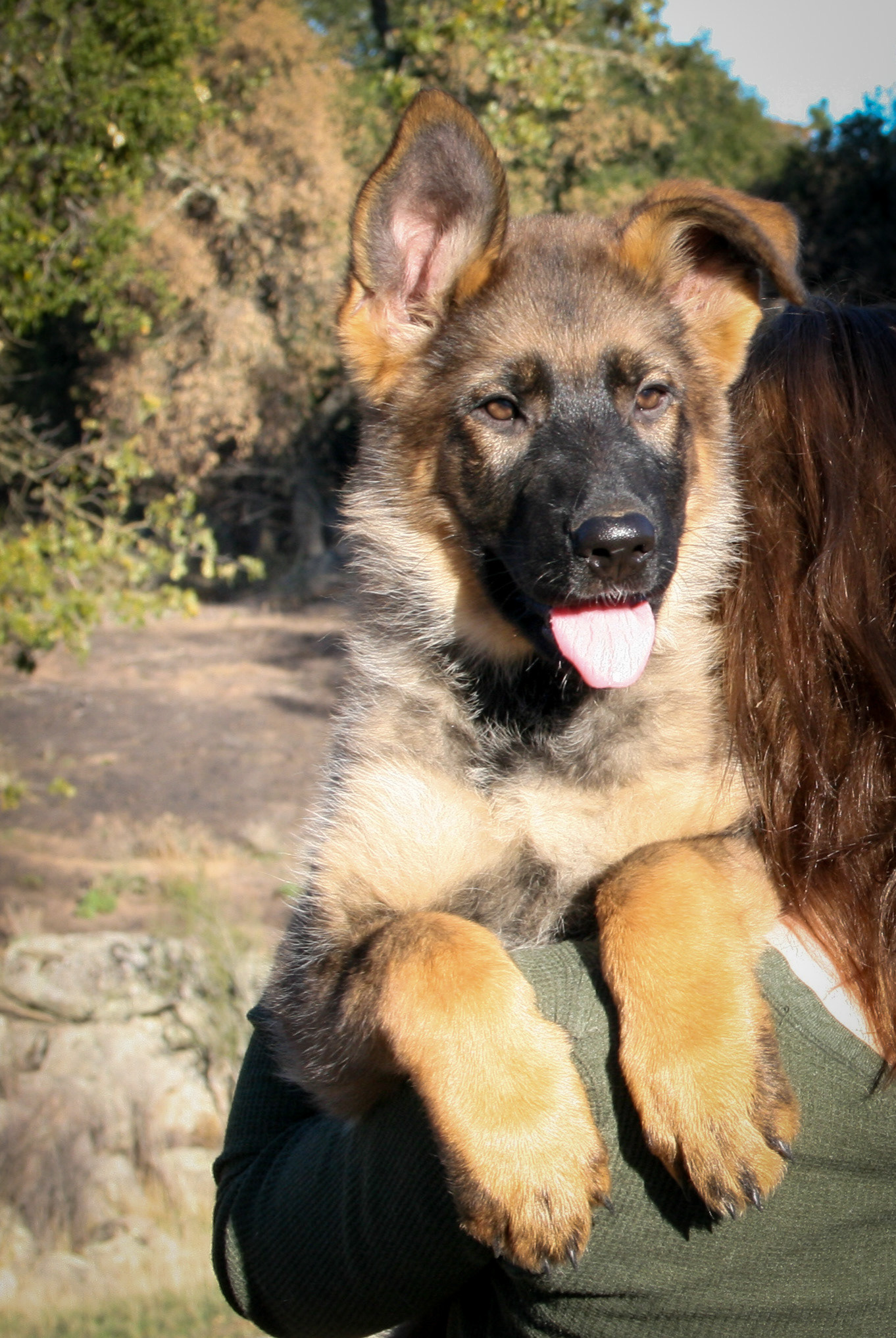 "Journey" - 12 weeks