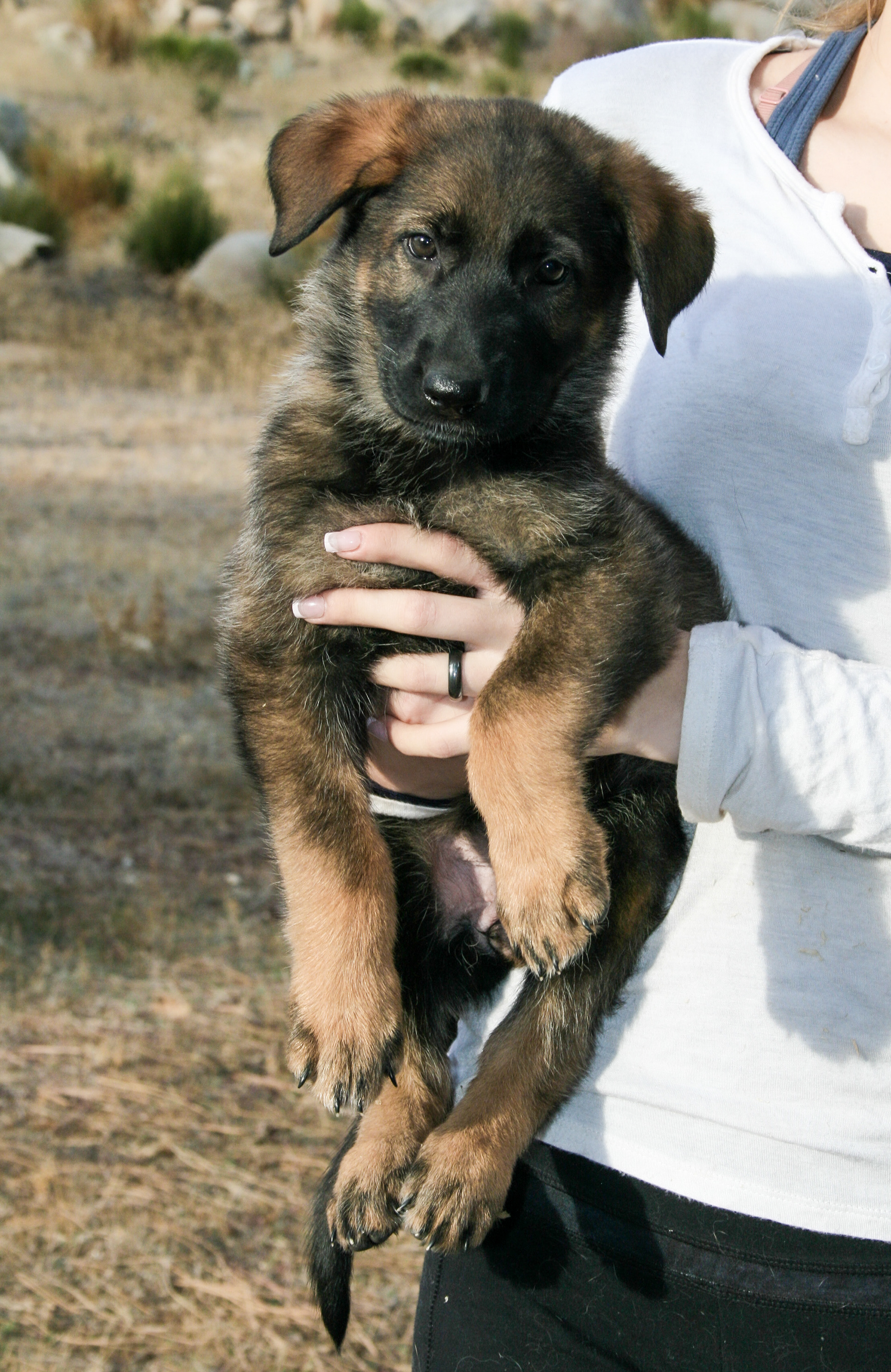 Winnie - 7 weeks