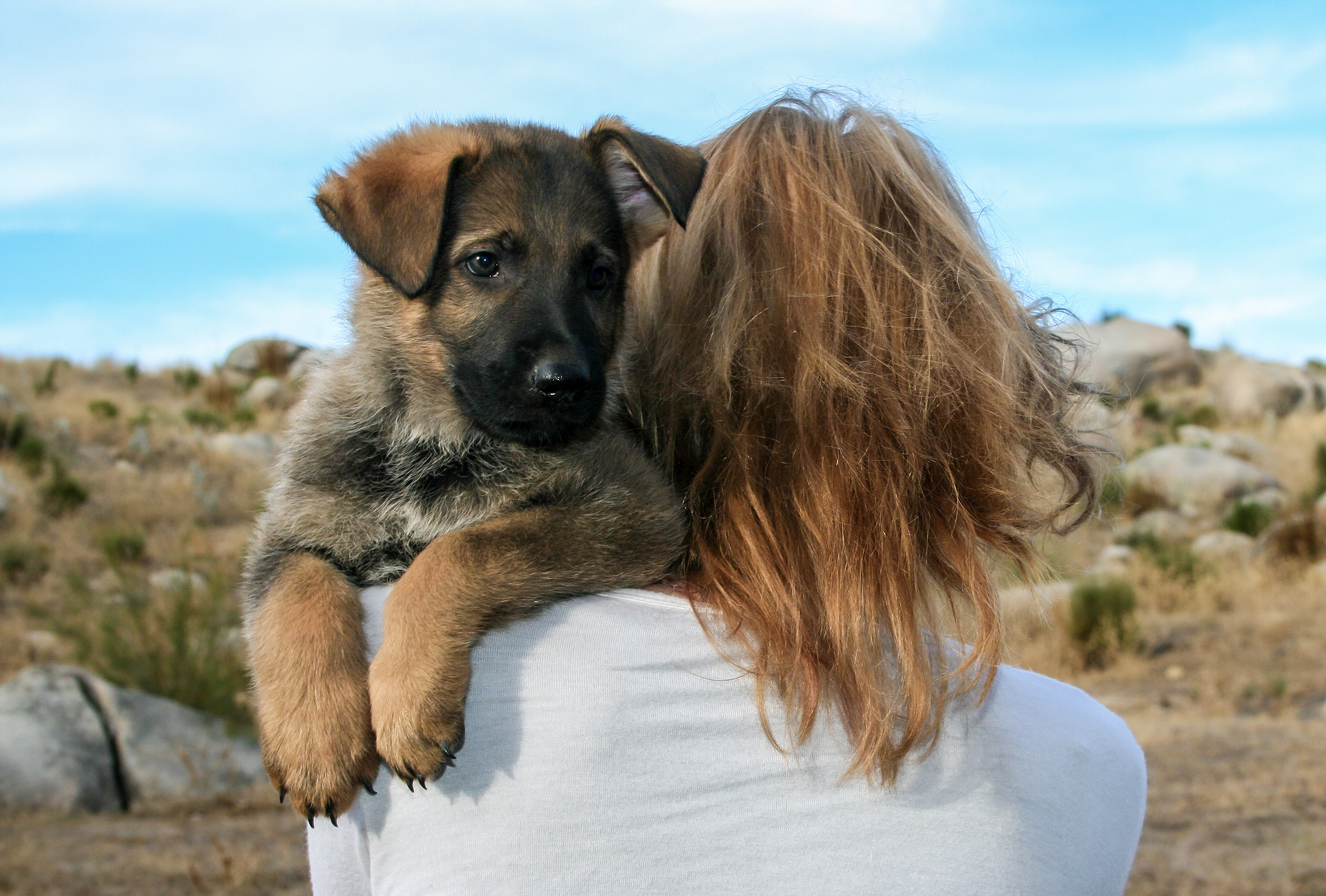 Vinnie - 7 weeks