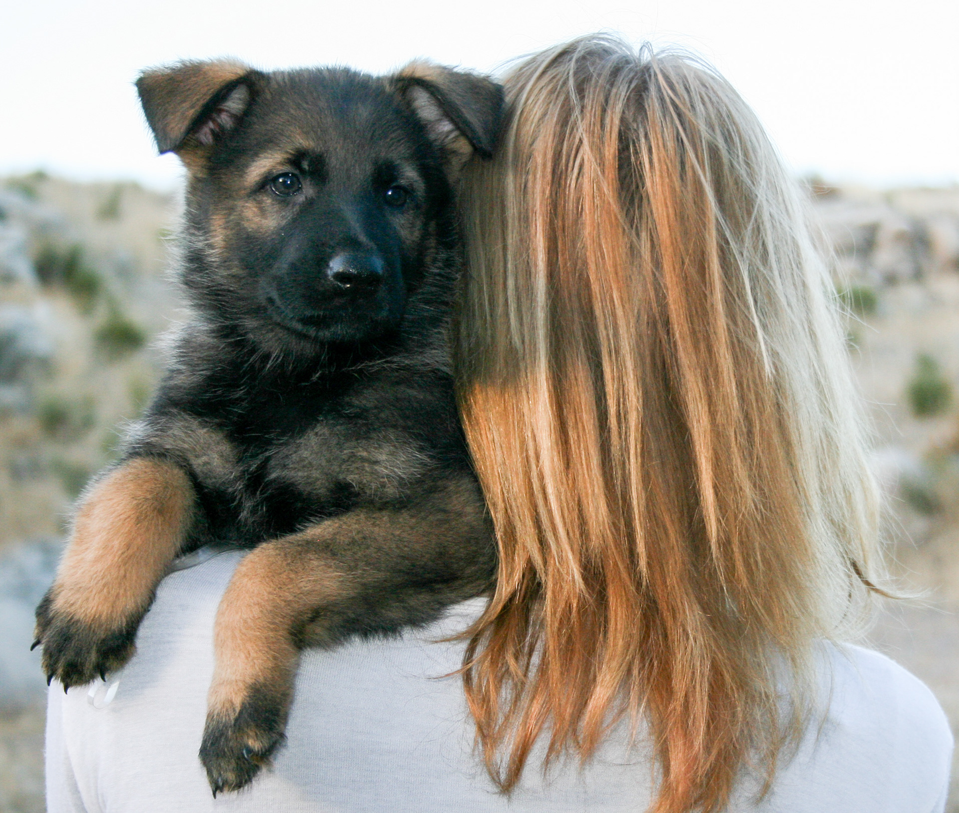Tilly - 7 weeks