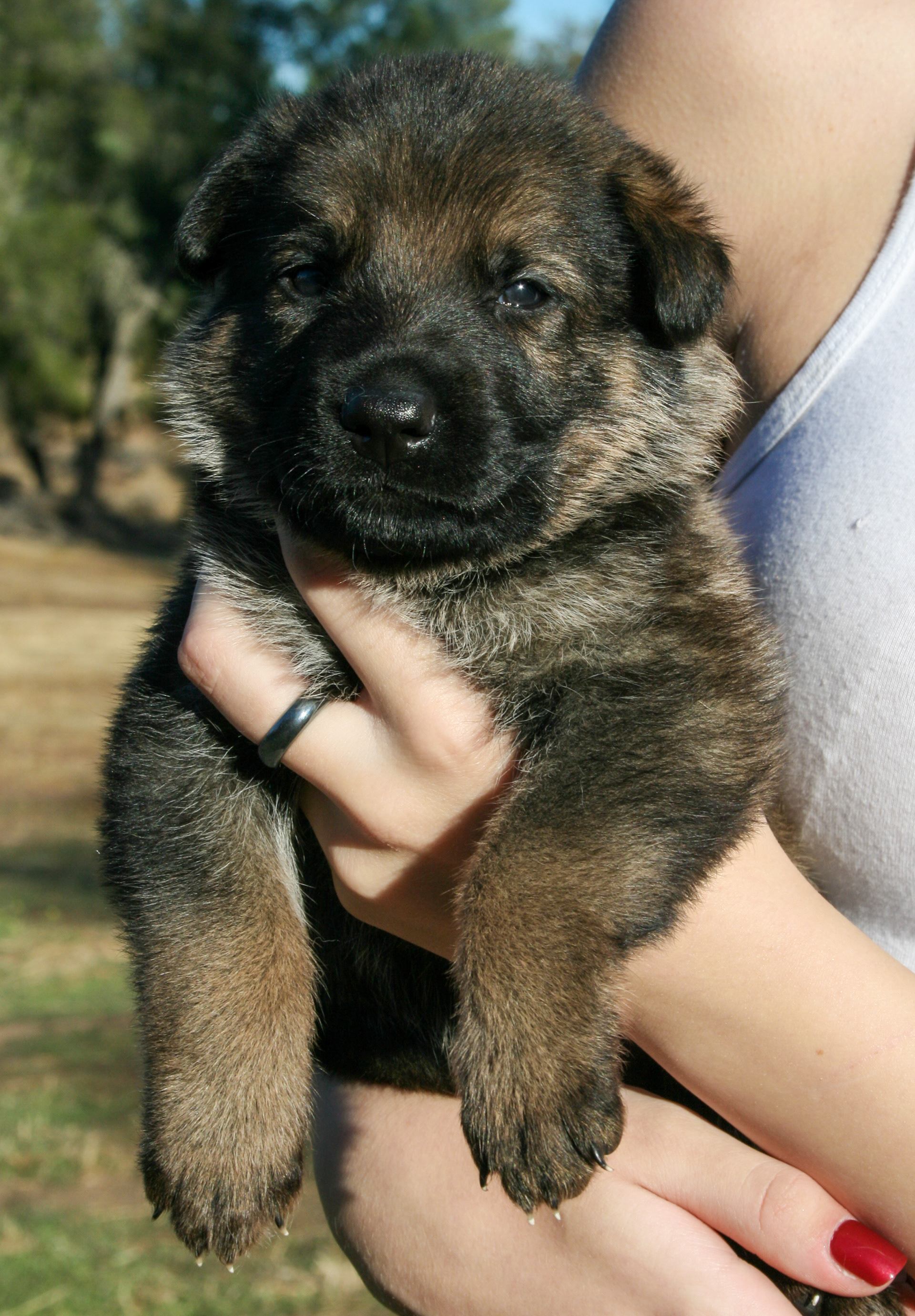 "Baby" - 4 weeks