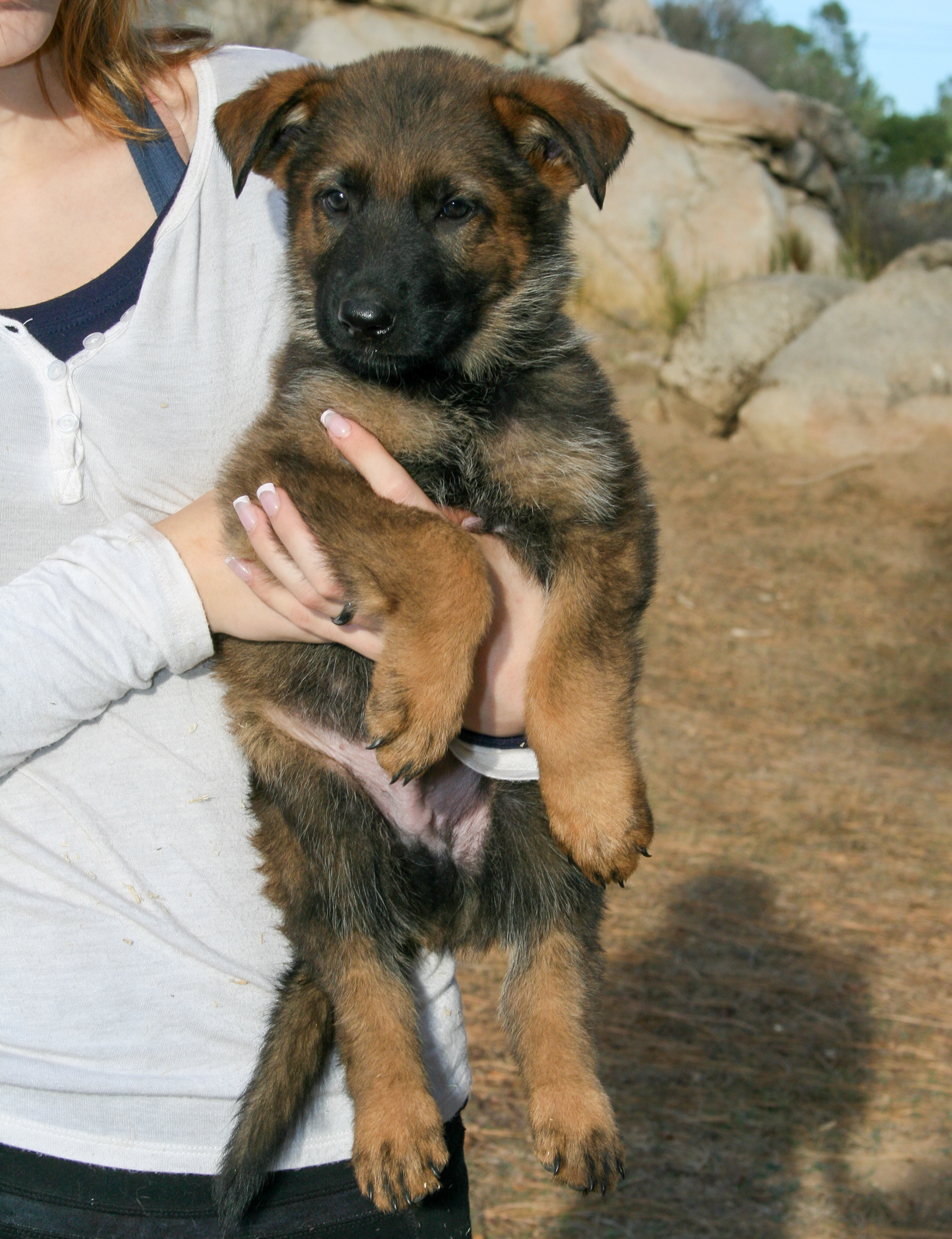 Jack - 7 weeks