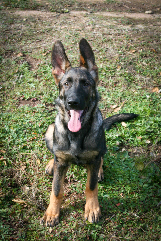 Winnie 4.5 months