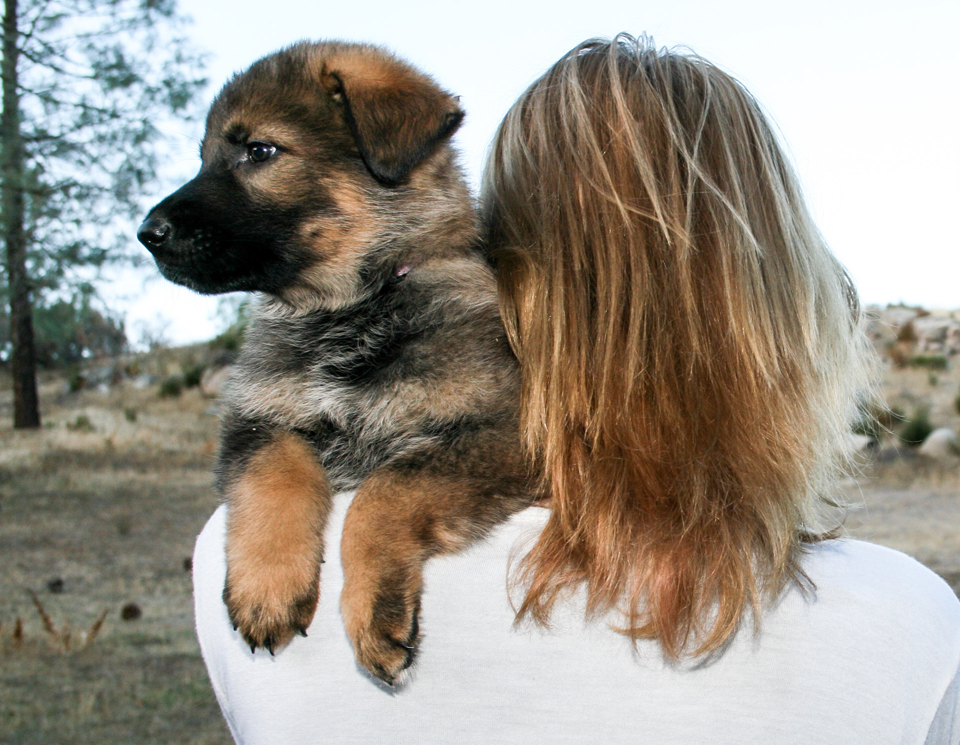 Journey - 7 weeks