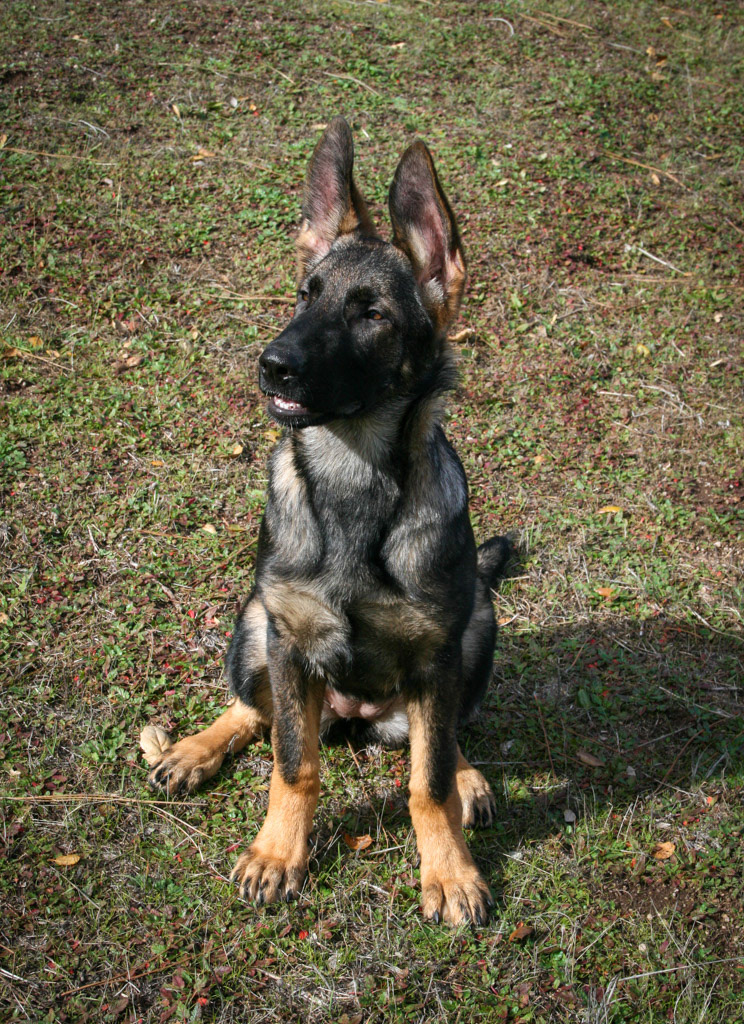 Winnie 4.5 months