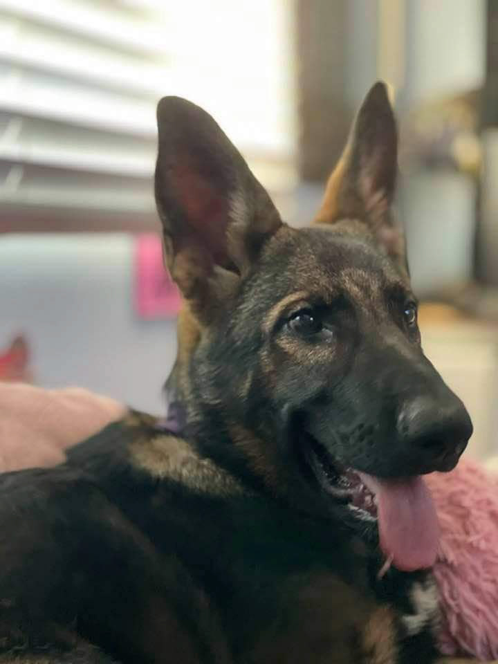 Shaelah 5.5 months
