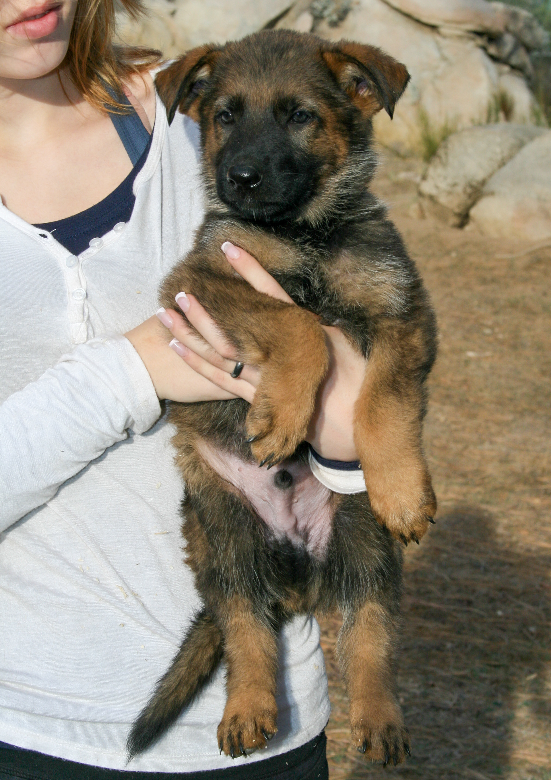 Jack - 7 weeks