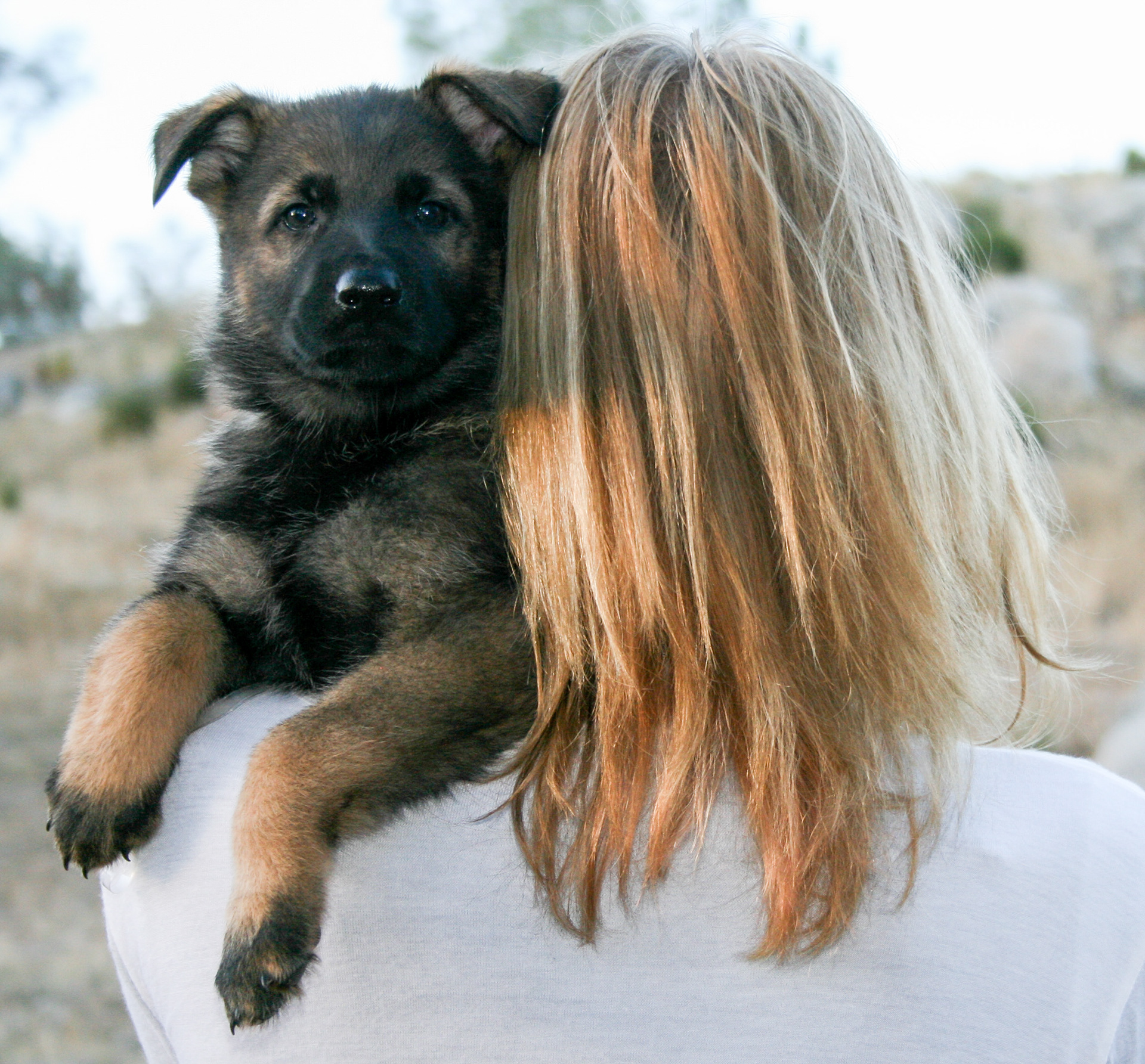 Tilly - 7 weeks