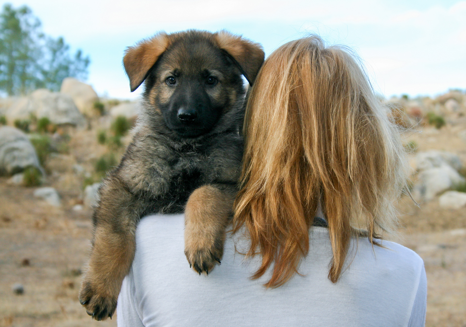 Biggie Smalls - 7 weeks