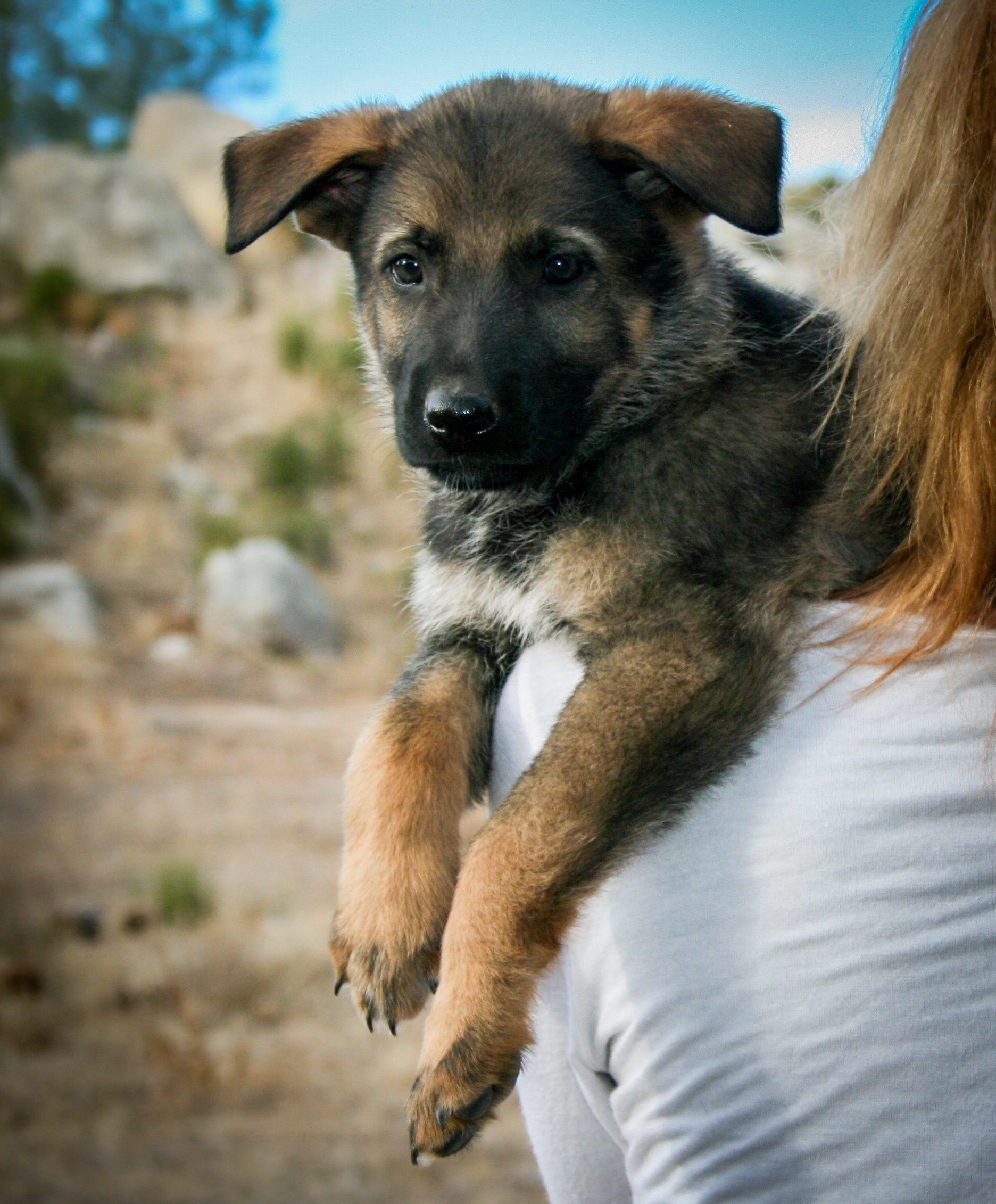 Baby - 7 weeks