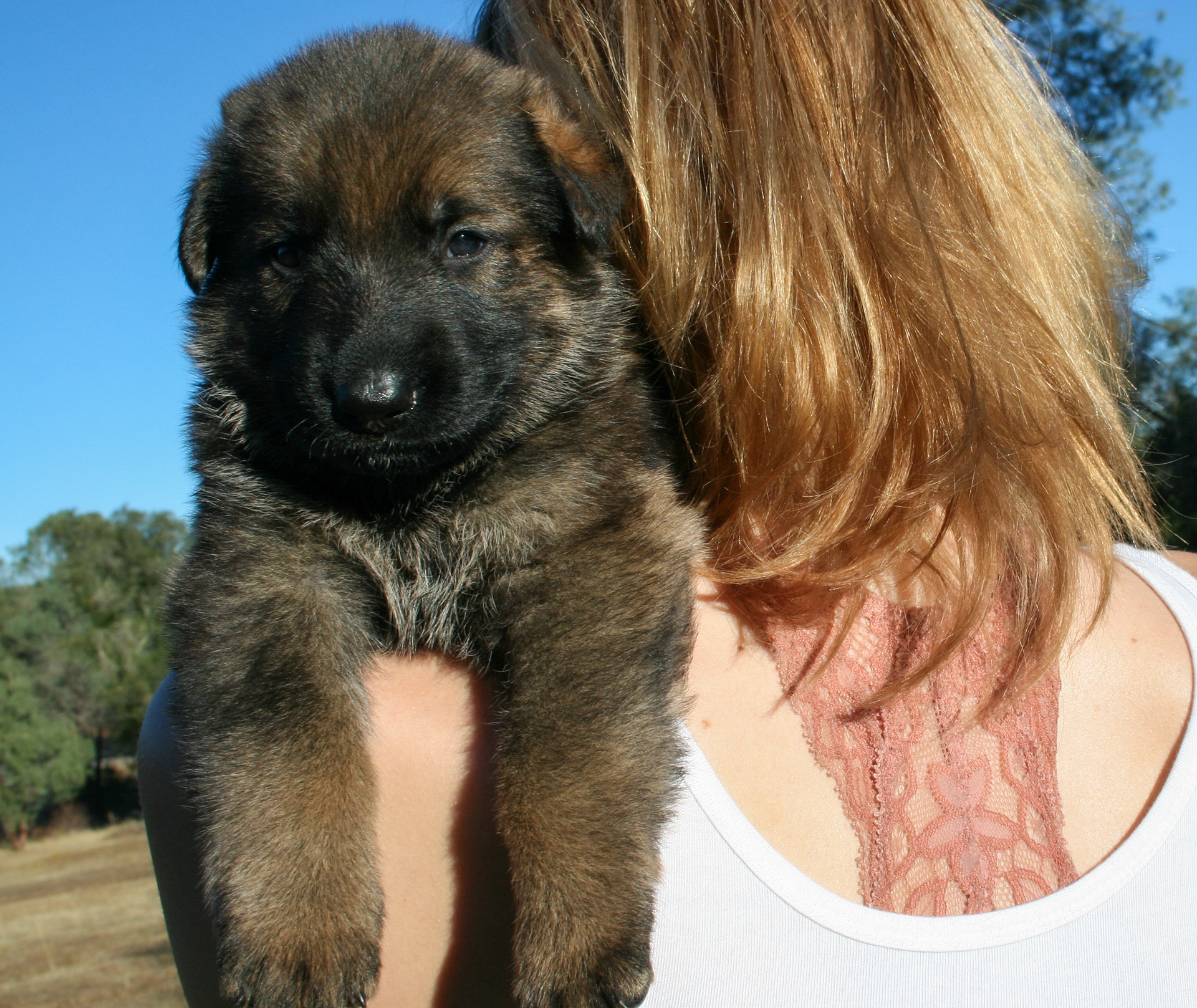 "Jack" - 4 weeks